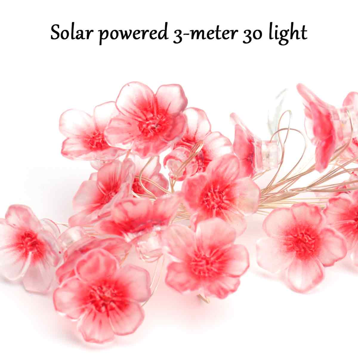 Solarbetriebene 3-Meter-30-Lichterkette mit rosa Blumendekorationen. Weißer Hintergrund.
