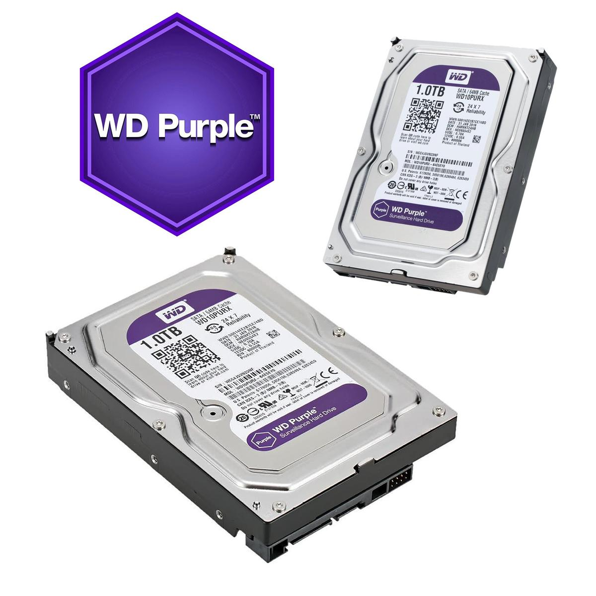 Due dischi rigidi WD Purple su sfondo bianco. Uno ha un logo viola nell'angolo. È presente anche un logo viola con la scritta 'WD Purple'.