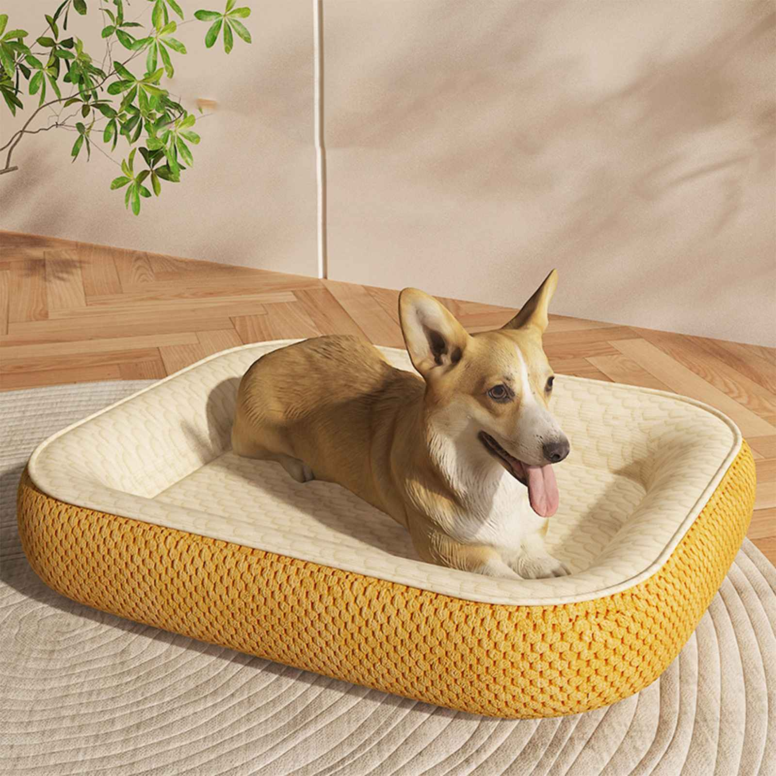 Ein Corgi-Hund liegt in einem gelben Hundebett auf einem Teppich, die Zunge heraus. Grüne Blätter im Hintergrund.