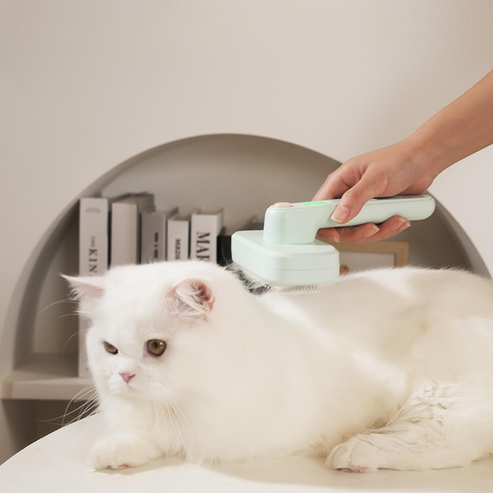 Eine weiße Katze wird mit einer hellgrünen Haustierbürste gepflegt. Bücherregal im Hintergrund.