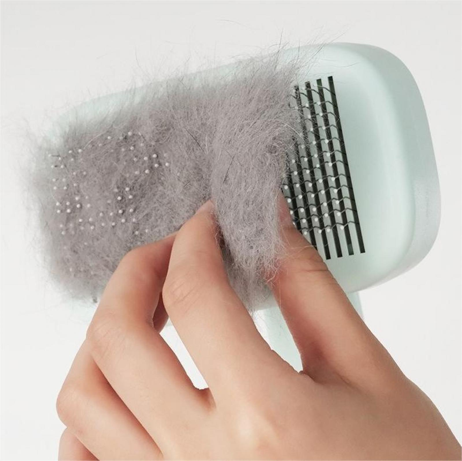 Eine Hand hält eine Tierhaarentfernbürste. Graue Haare sind angebracht. Die Bürste ist hellblau. Der Hintergrund ist weiß.