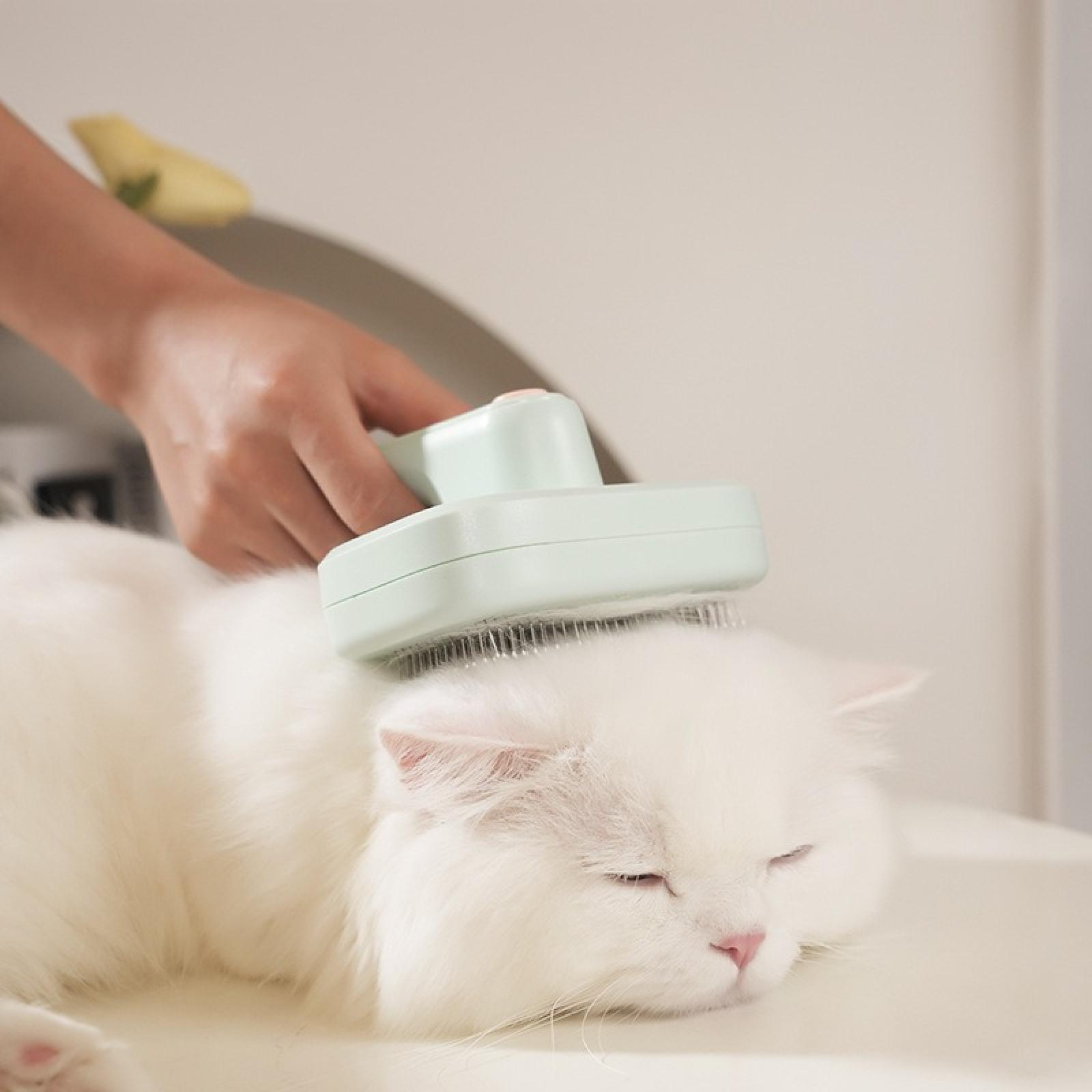 Eine Person bürstet eine weiße Katze mit einer grünen Bürste. Die Katze liegt mit geschlossenen Augen.