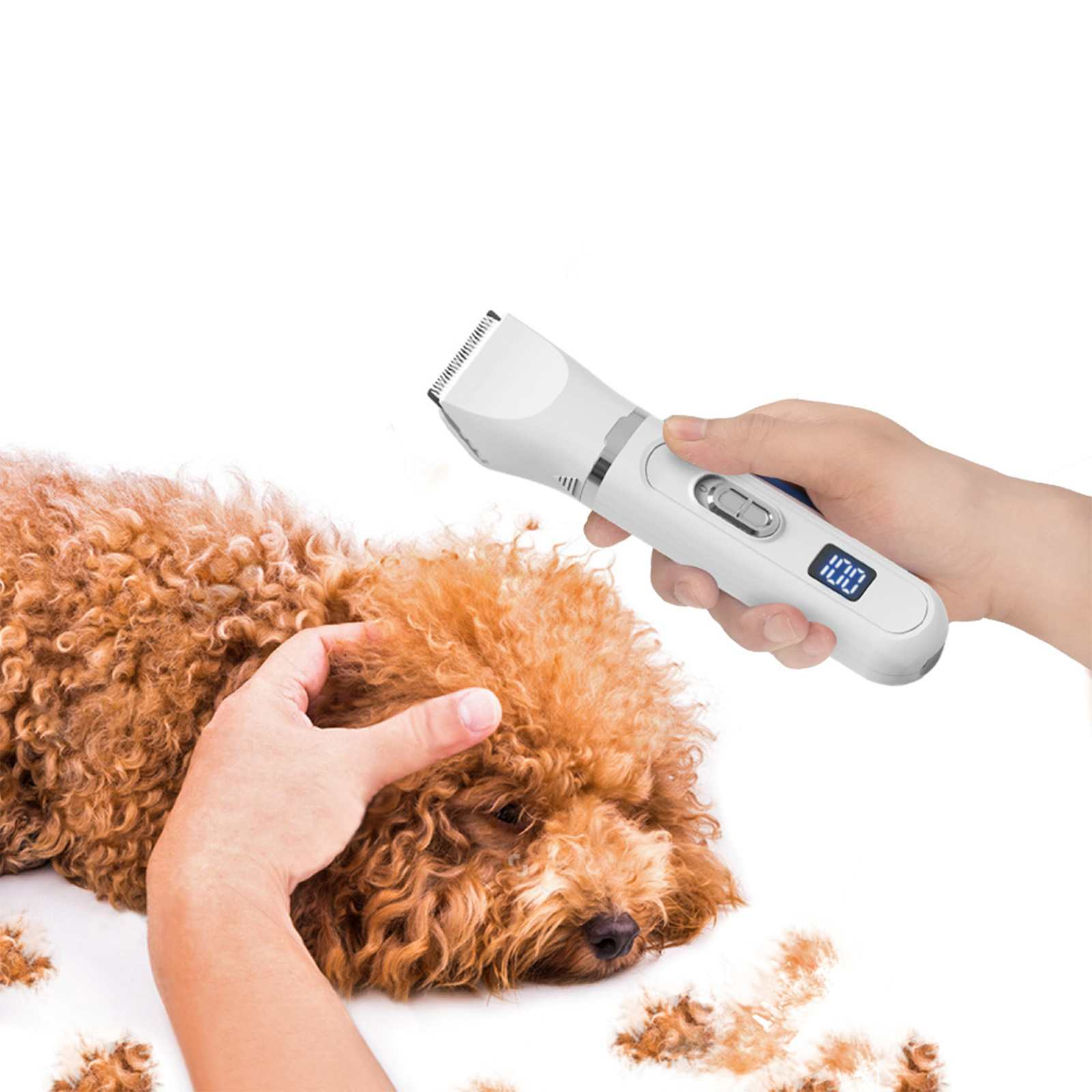 Eine Person benutzt einen weißen Tierhaarschneider, um einen braunen Pudel zu pflegen. Der Hund liegt auf einer weißen Oberfläche.