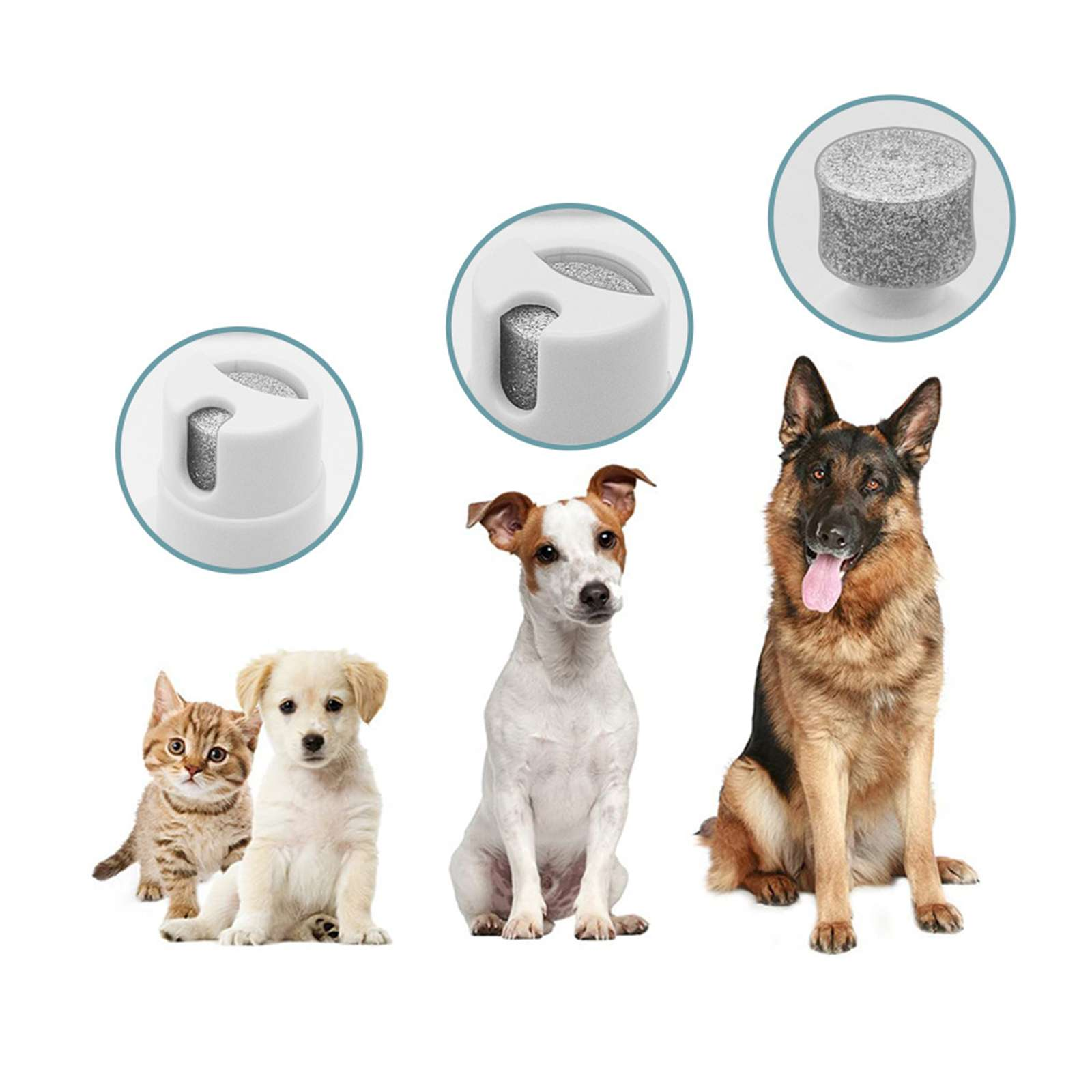 Das Bild zeigt eine Katze, einen Welpen, einen Hund und einen Deutschen Schäferhund. Drei Nagelfeilenaufsätze sind über den Tieren abgebildet.