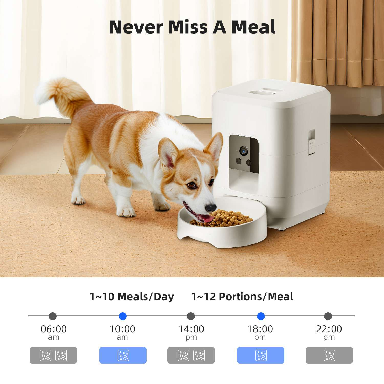 Ein Corgi-Hund frisst aus einer Schüssel voller Trockenfutter. Daneben ein weißer Futterautomat. Das Bild vermittelt die Botschaft 'Nie eine Mahlzeit verpassen'.