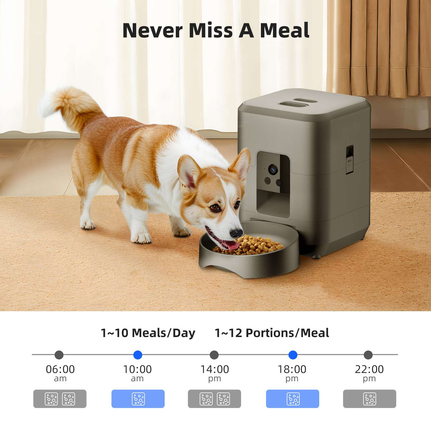 Ein Hund frisst aus einer Schüssel, neben einem Futterautomaten. Der Text lautet 'Never Miss A Meal'. Zeitoptionen werden angezeigt.