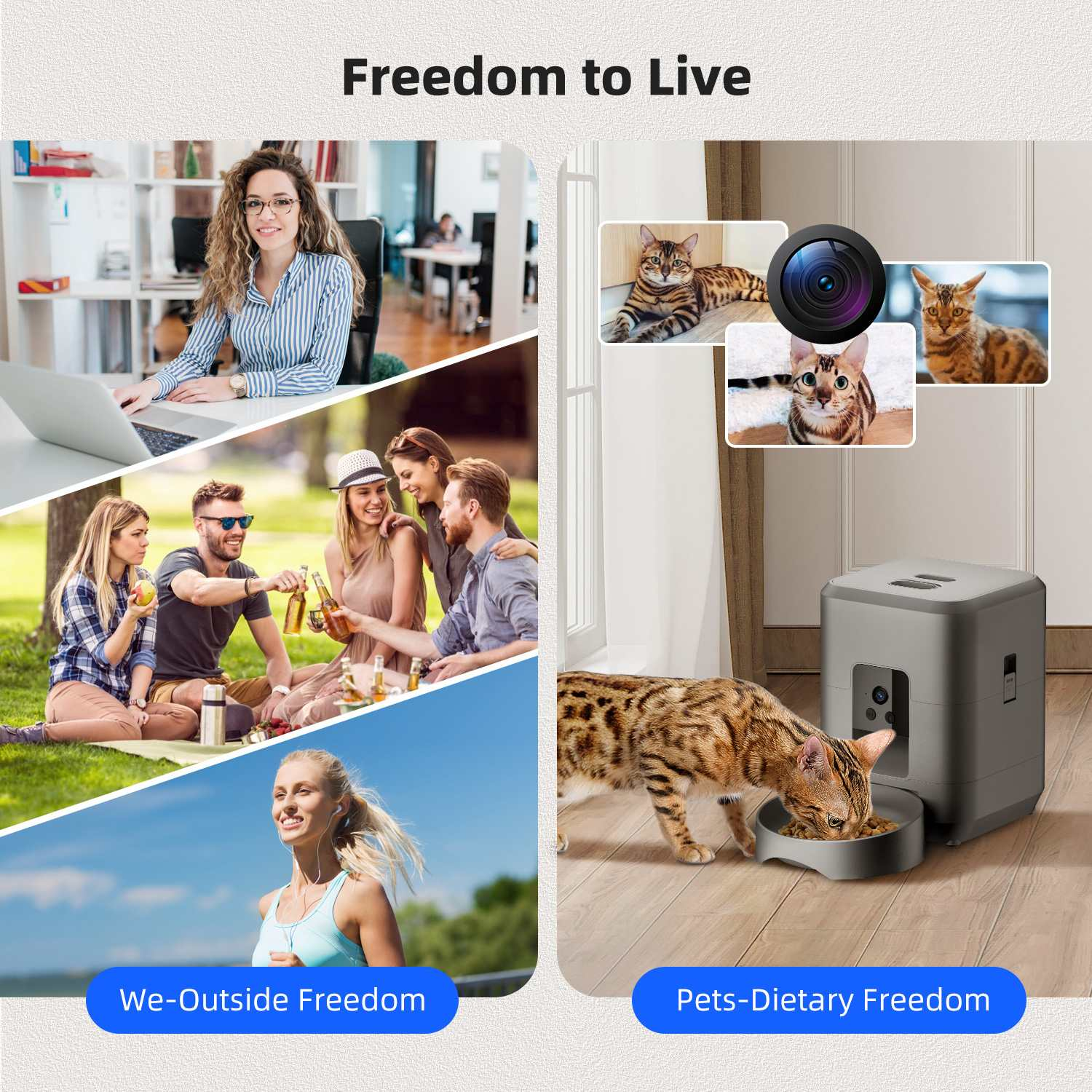 Zusammengesetztes Bild: Menschen, die das Leben genießen, eine Katze, die isst, und eine Katzenkamera. Text lautet 'Freedom to Live'.