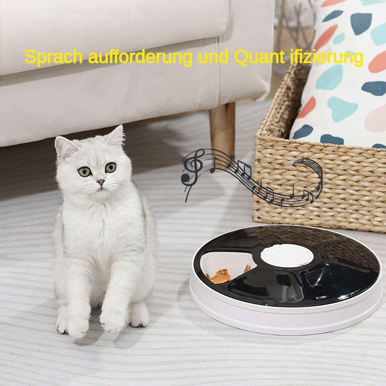 Eine weiße Katze sitzt in der Nähe eines schwarz-weißen automatischen Katzenfutterautomaten. Im Hintergrund ein Korb mit einem gemusterten Kissen.