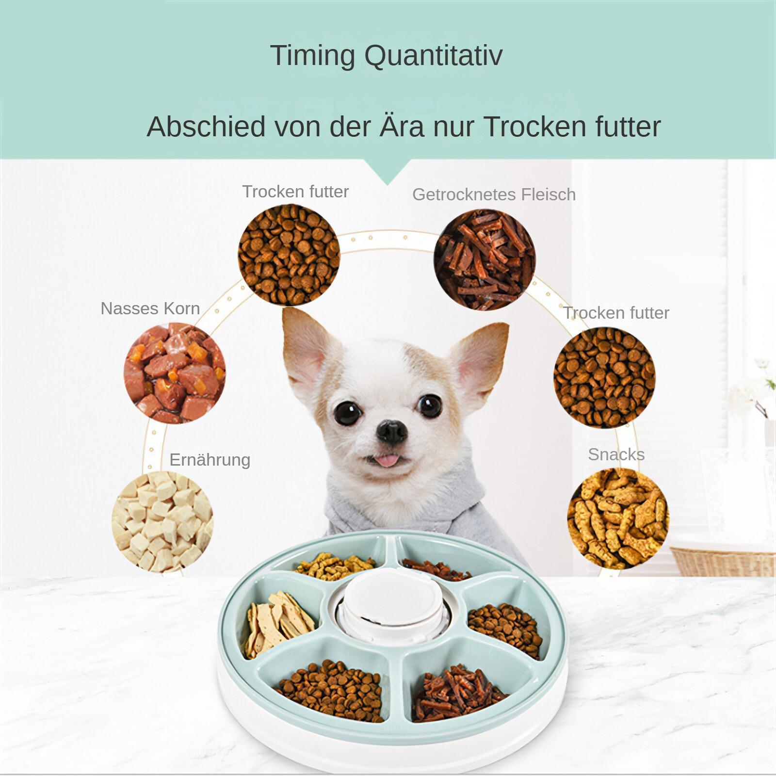 Ein Hund blickt den Betrachter an. Drumherum befinden sich Bilder von Hundefutter in einer blau-weißen Schüssel. Text steht oben.