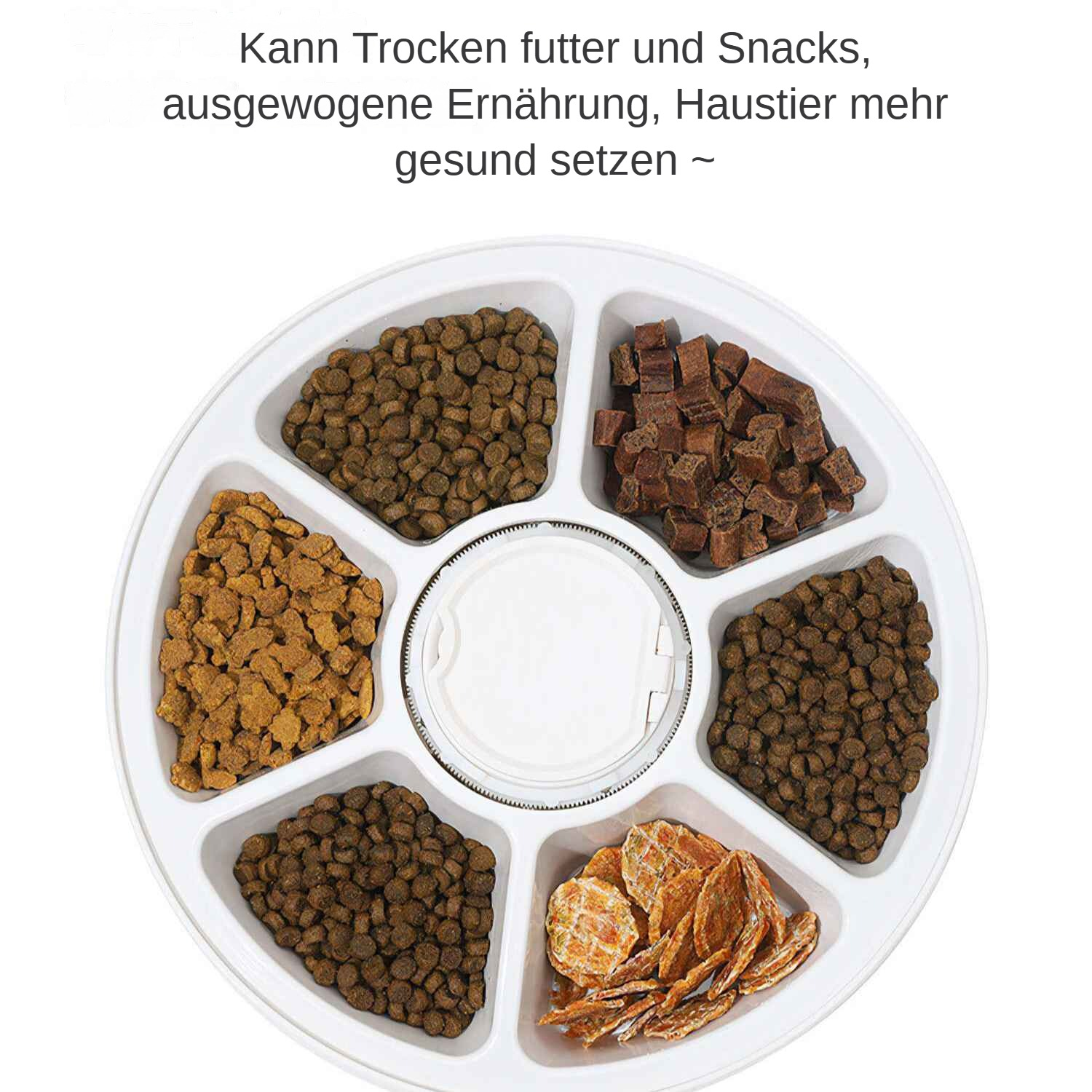 Eine weiße Futterschale mit sechs Fächern, die jeweils mit verschiedenen Trockenfutterarten gefüllt sind. Text oben.