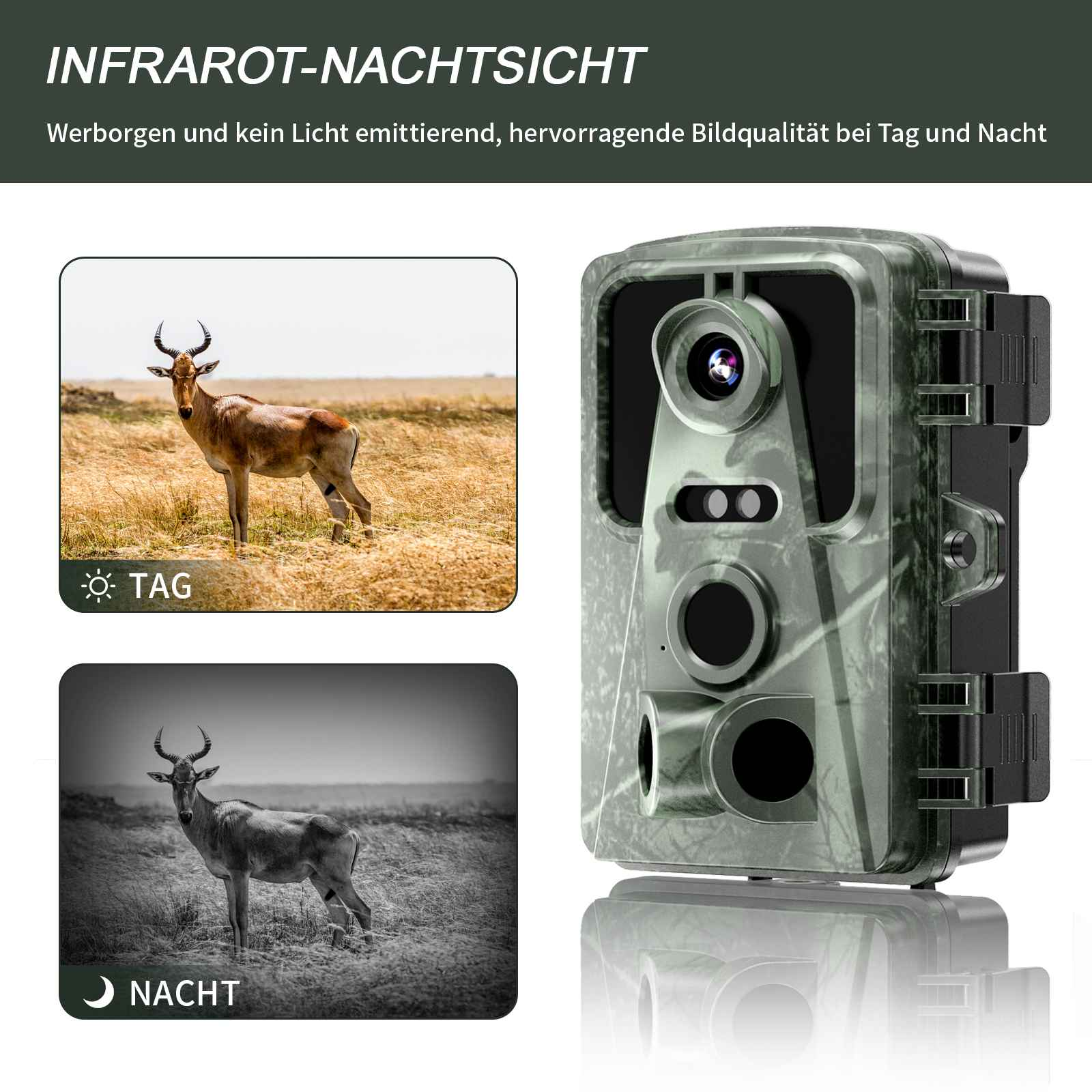 Das Bild zeigt eine Kamera, Tag- und Nachttierfotos und Text über Infrarot-Nachtsicht.