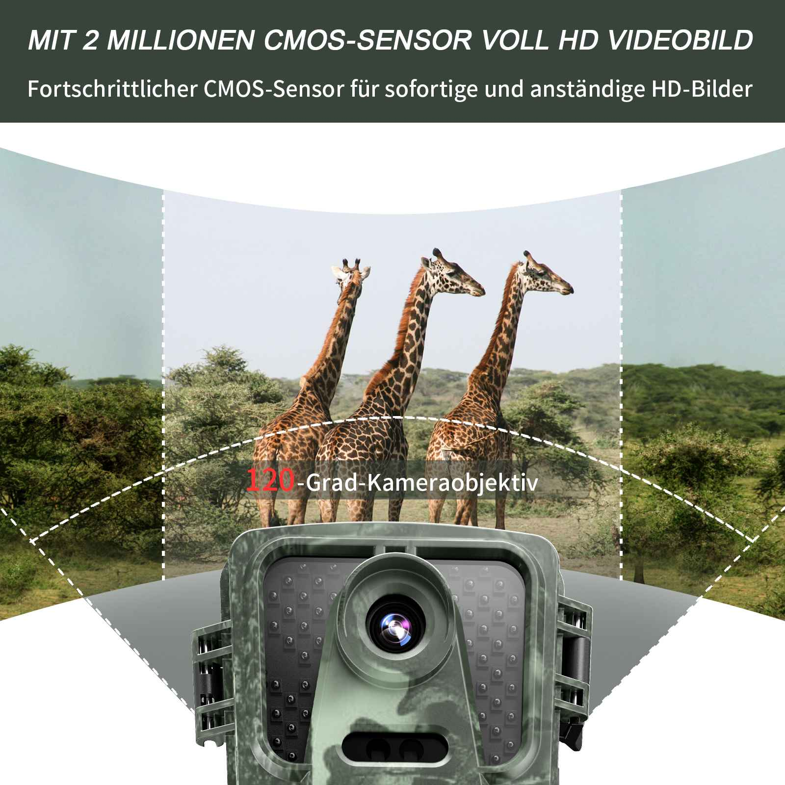 Eine Kamera ist auf drei Giraffen gerichtet. Der Hintergrund zeigt Bäume und Himmel. Text sagt 'HD-Videobild'.