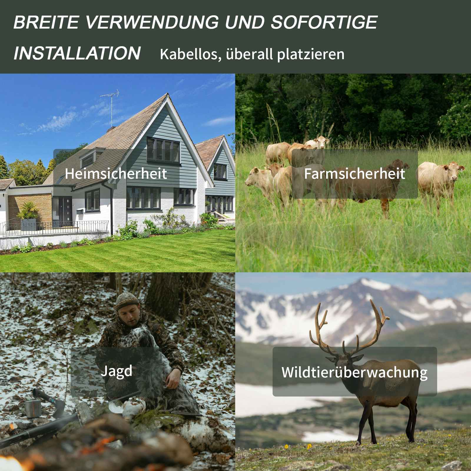 Das Bild zeigt ein Haus, Kühe auf dem Feld, einen Jäger mit Hund und einen Hirsch mit Bergen. Jede Szene hat eine Beschriftung.