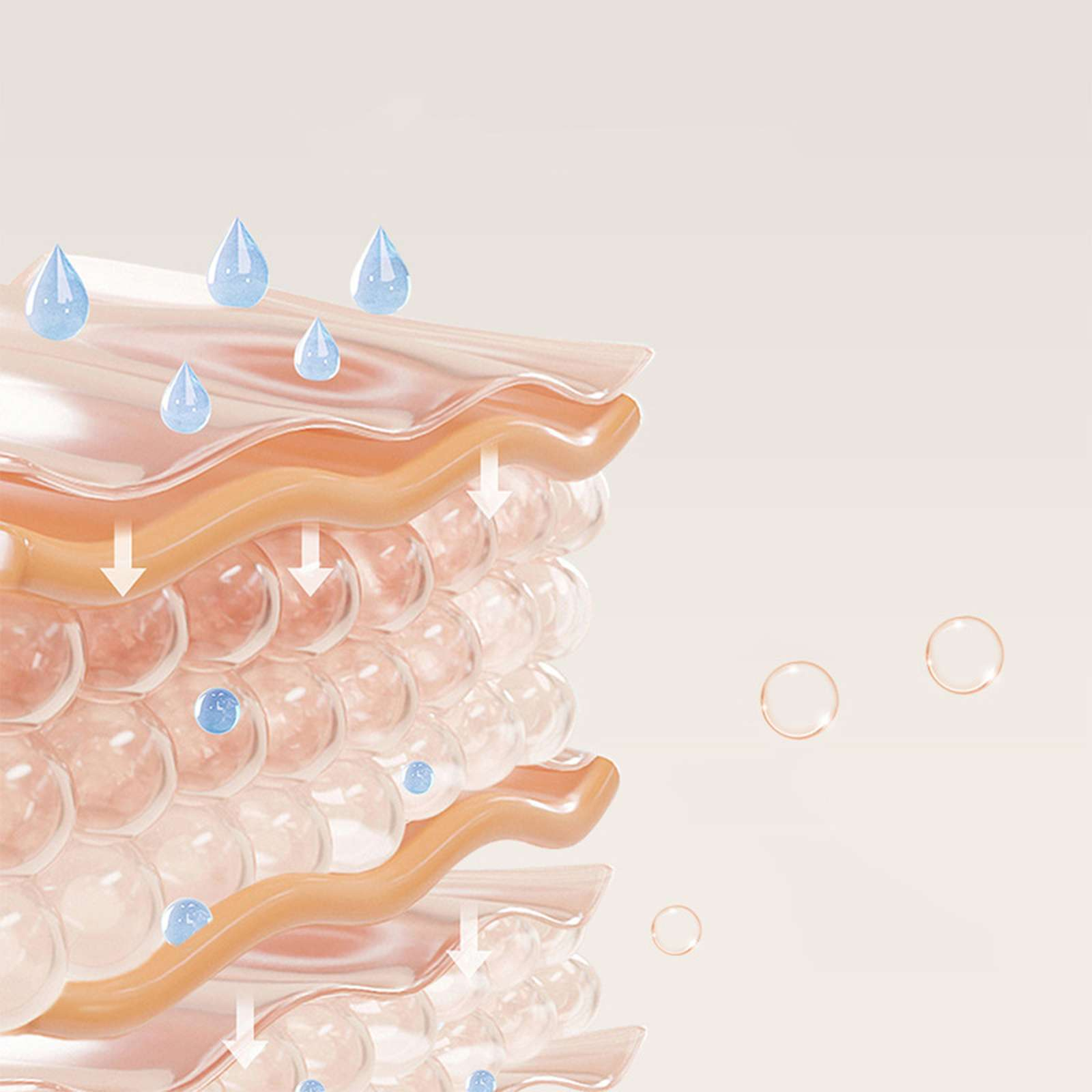 Diagramm der Hautschichten mit Wassertröpfchen. Schichten sind rosa und braun. Tröpfchen sind blau. Transparente Blasen und Kreise.