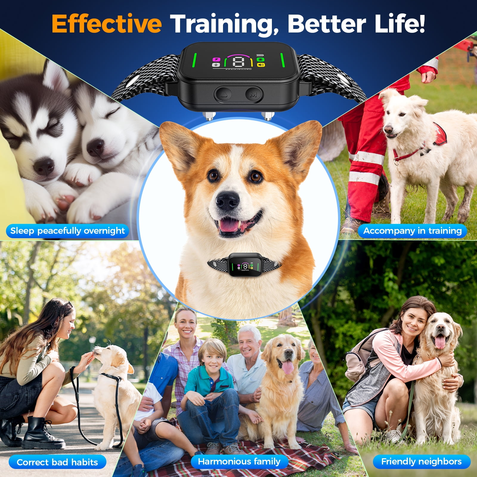 Das Bild zeigt einen Hund mit einem Trainingshalsband, umgeben von Szenen mit Hunden und Menschen. Beschriftungen sind 'Schlaf', 'Trainieren' und 'Familie'.
