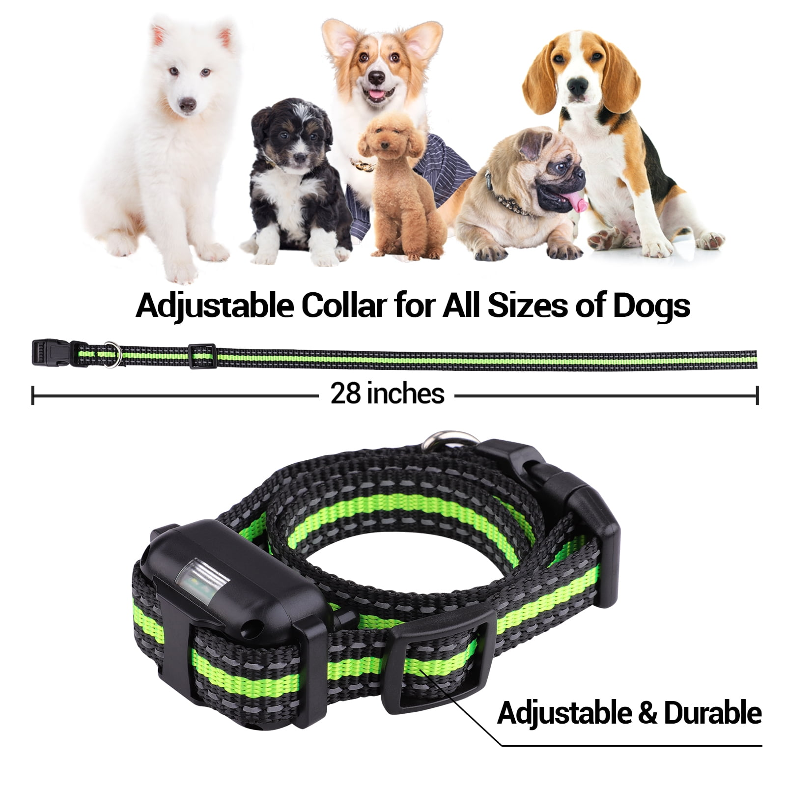 Das Bild zeigt ein verstellbares Hundehalsband mit grünen Streifen, Text 'Adjustable & Durable'. Hunde verschiedener Rassen im Hintergrund.