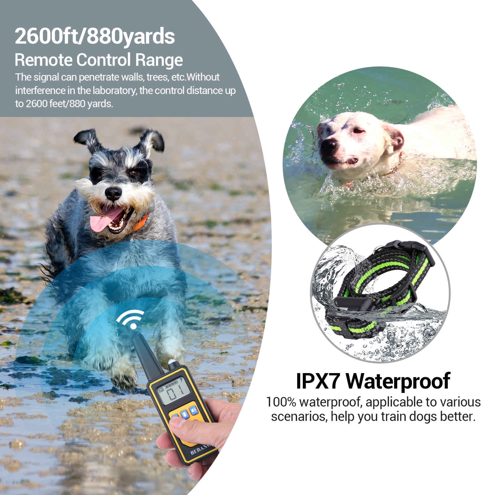 Das Bild zeigt einen Hund und einen Controller, einen schwimmenden Hund und ein Halsband mit grünen Akzenten. Text zeigt Fernbedienung und wasserdichte Eigenschaften.