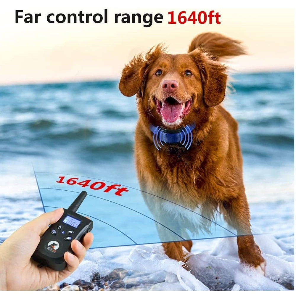 vibration mit fernbedienung CRRYNUO Vibration, Summer, Fernbedienung, wasserdicht Hundetrainingsset