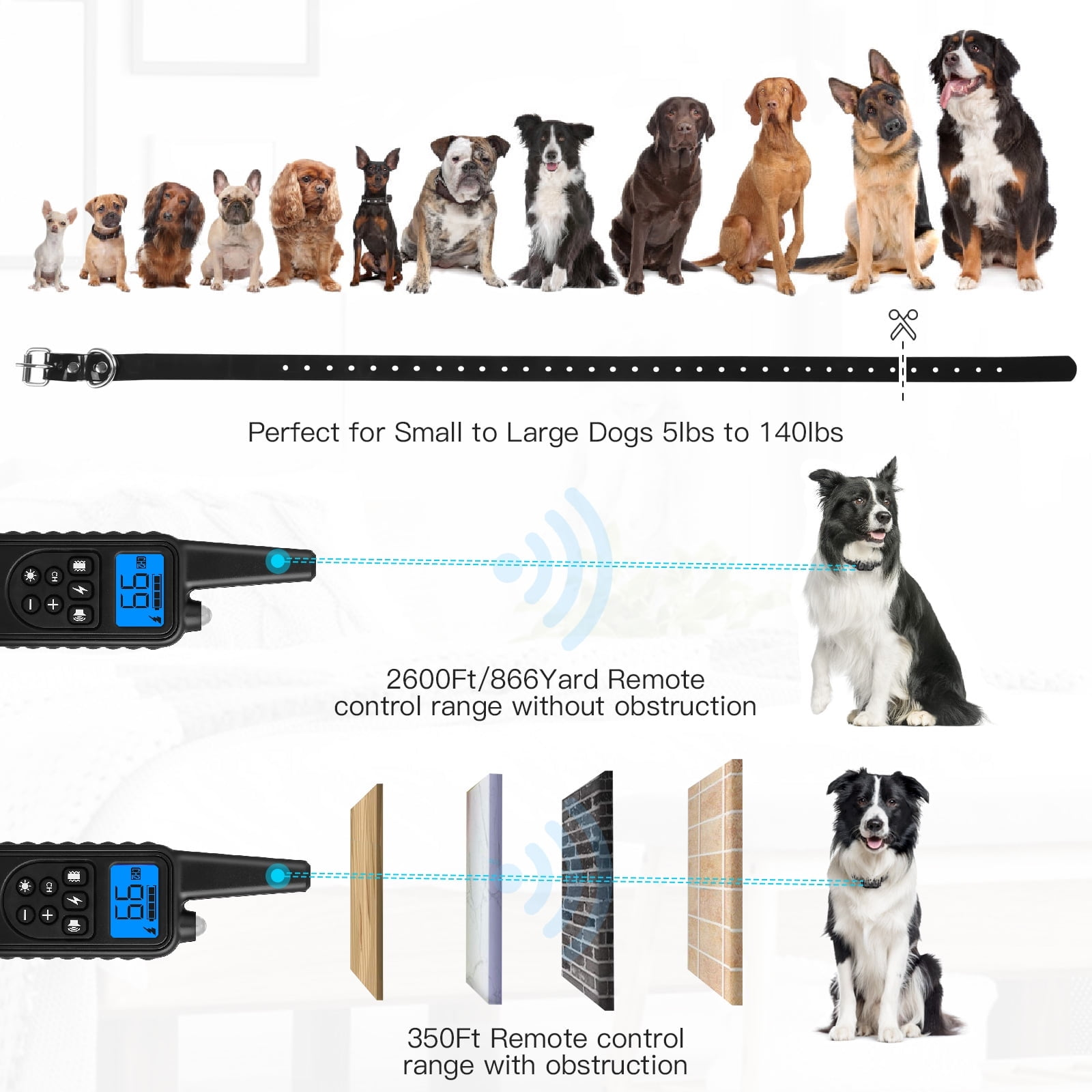 Das Bild zeigt Hunde, ein Halsband und ein Fernausbildungssystem mit Reichweitenangaben. Hunde verschiedener Rassen sind abgebildet.