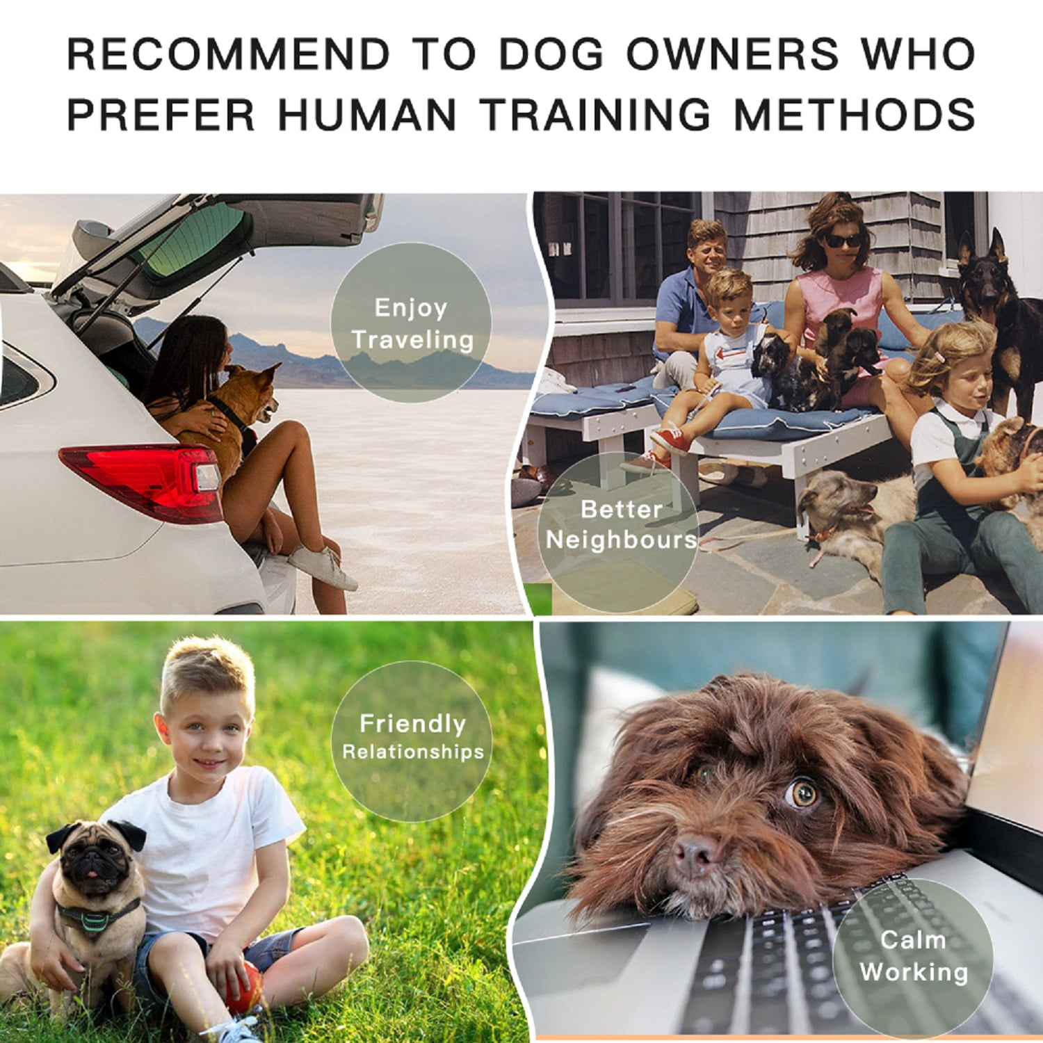 Das Bild zeigt verschiedene Szenen mit Hunden. Reisen, bessere Nachbarn, freundschaftliche Beziehungen und ruhiges Arbeiten sind die Themen.