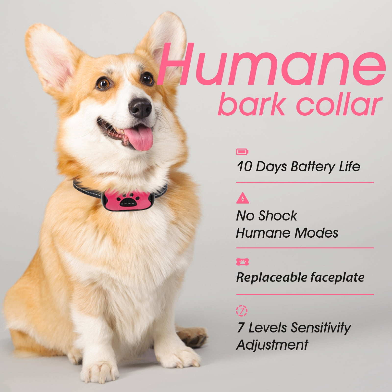 Ein Corgi-Hund mit einem rosa Halsband. Der Text lautet 'Humane bell kragen' und enthält Funktionen wie Akkulaufzeit und Empfindlichkeit.