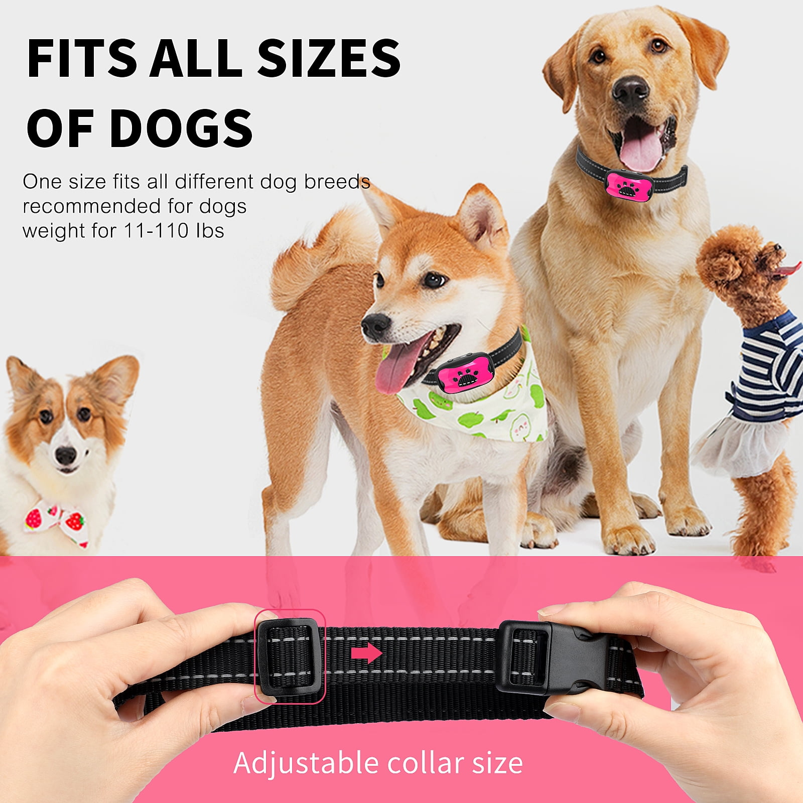Das Bild zeigt Hunde mit Halsbändern, eine Produktbeschreibung und Hände, die ein Halsband anpassen.