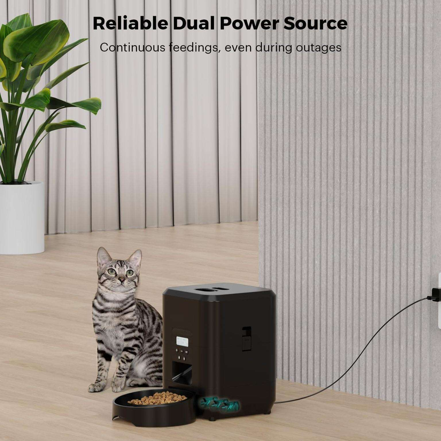 Eine Katze sitzt neben einem schwarzen Haustierfutterautomaten mit Futter in der Schüssel. Im Hintergrund eine Pflanze. Text: Zuverlässige Duale Stromquelle.