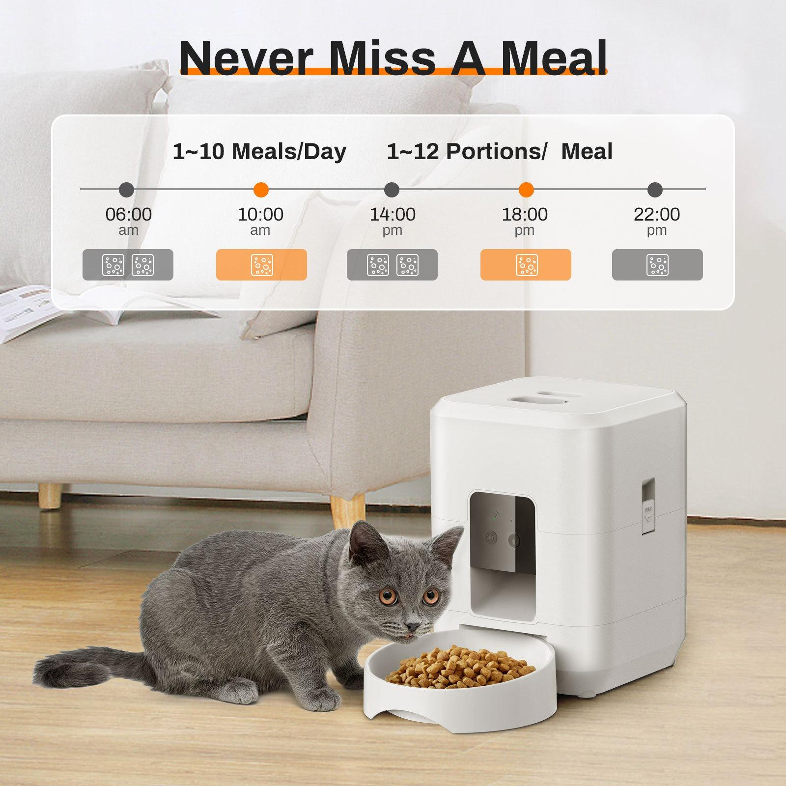 Eine graue Katze blickt auf den Futternapf. Ein weißer automatischer Futterautomat steht neben der Schüssel. Die Anzeige lautet: Nie eine Mahlzeit verpassen.