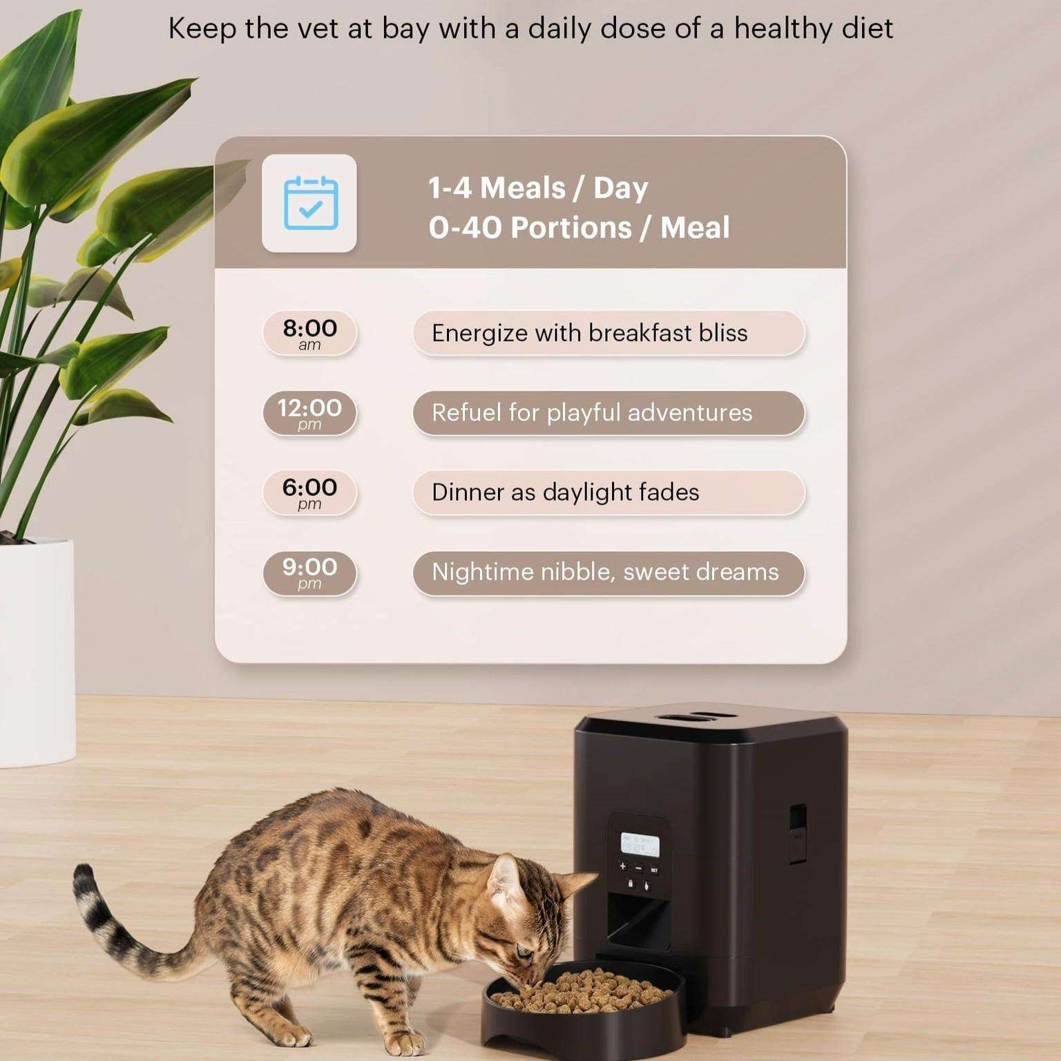 Eine Katze frisst aus einer Schüssel. Ein schwarzer Futterautomat befindet sich hinter der Katze. Text zeigt Fütterungsplan.