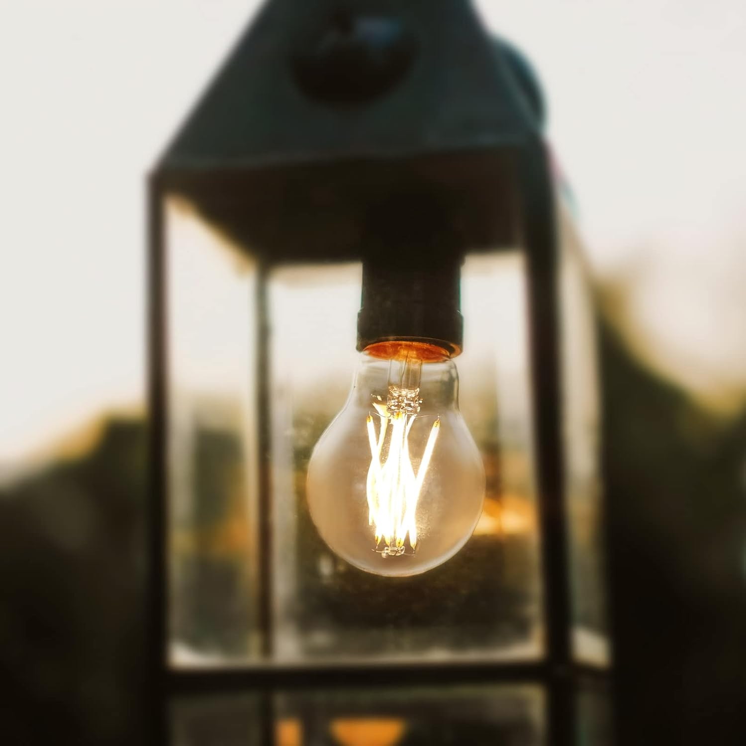 Świecąca żarówka wisi wewnątrz latarni. Szklana latarnia jest ostra, tło jest rozmyte.