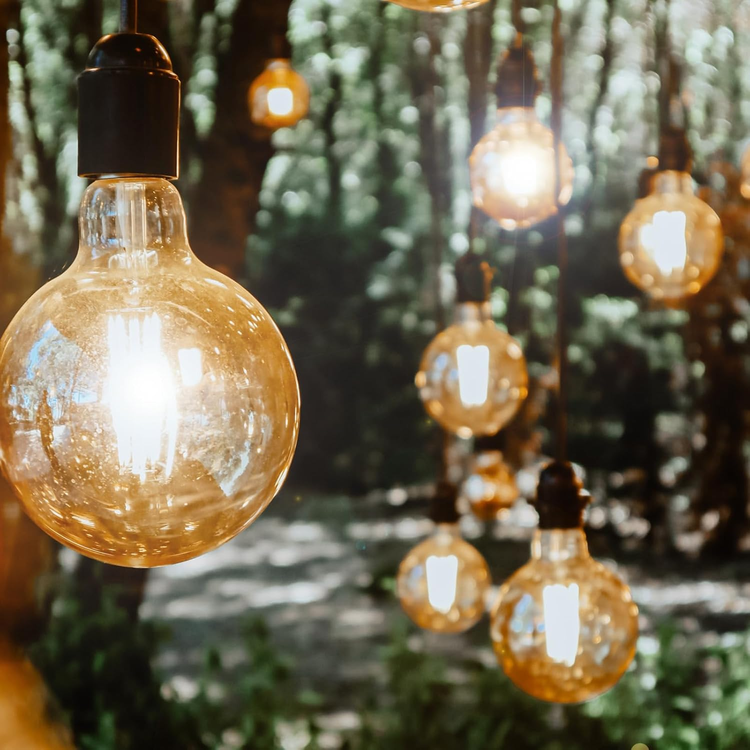 Zbliżenie ciepłych żarówek wiszących. Tło przedstawia rozmyty zielony las. Ostrość na świecących żarówkach.