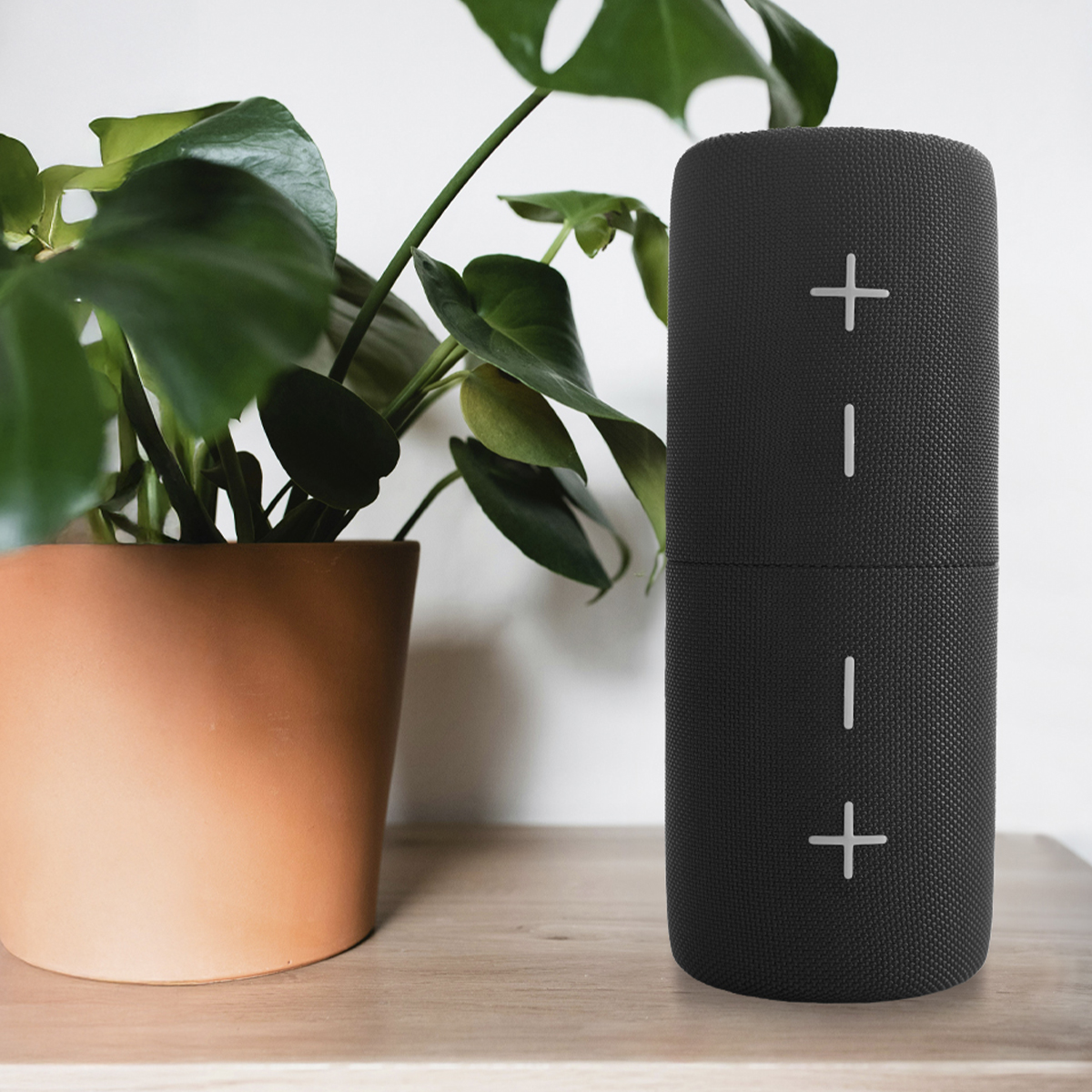 Czarny głośnik ze znakami plus i minus, obok rośliny doniczkowej z dużymi zielonymi liśćmi.