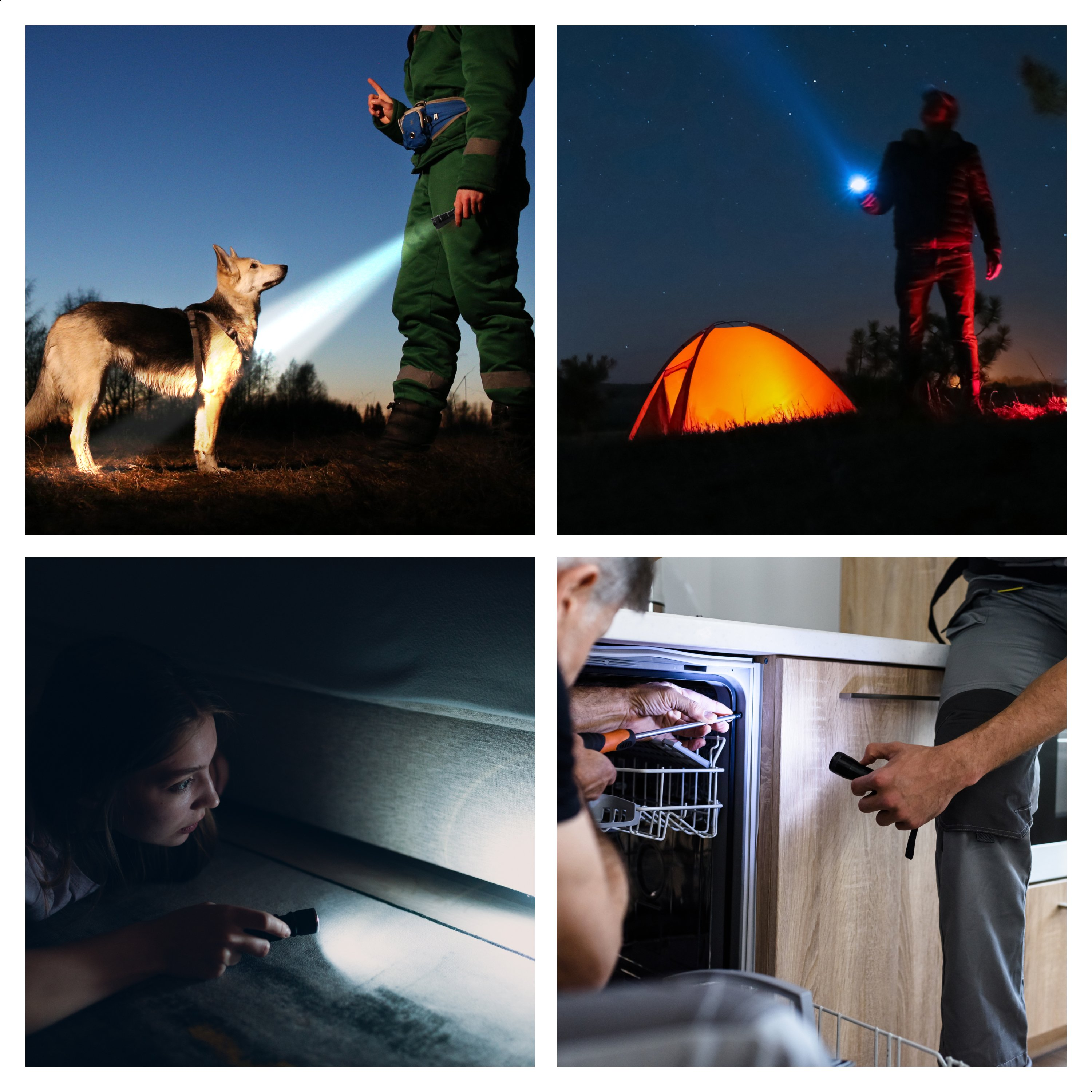 A dog and a person are illuminated by a flashlight. The person is pointing. The background is a night sky.
