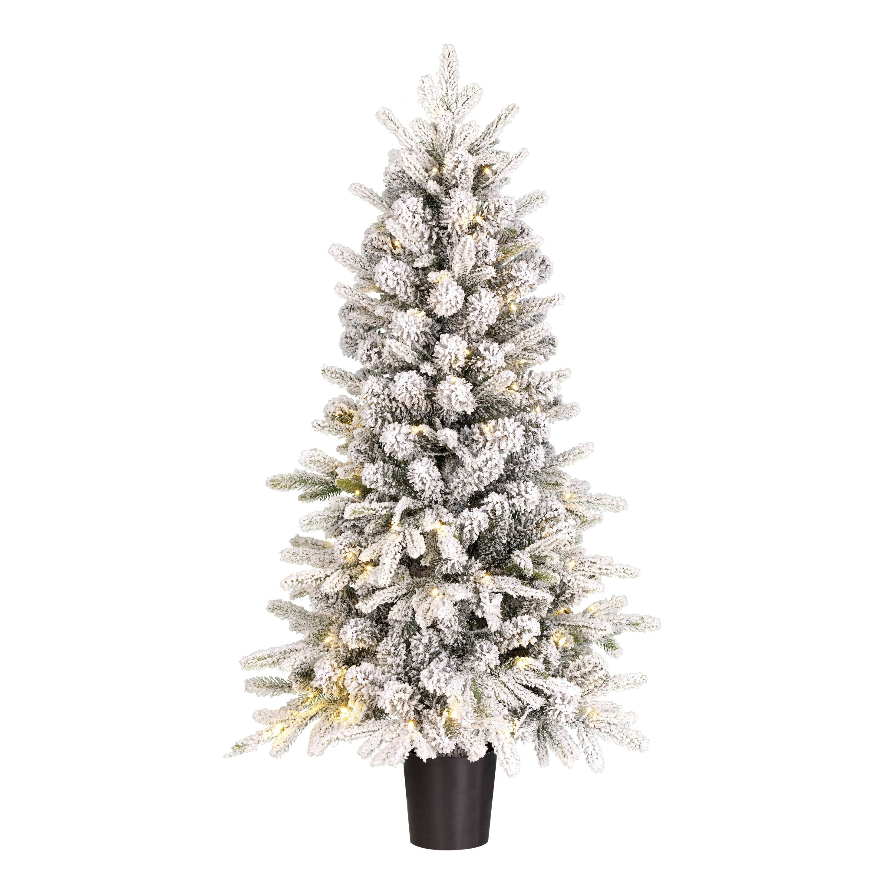 Un sapin de Noël enneigé avec des lumières se dresse sur fond blanc. Il est dans un pot noir. L'arbre est l'élément principal.