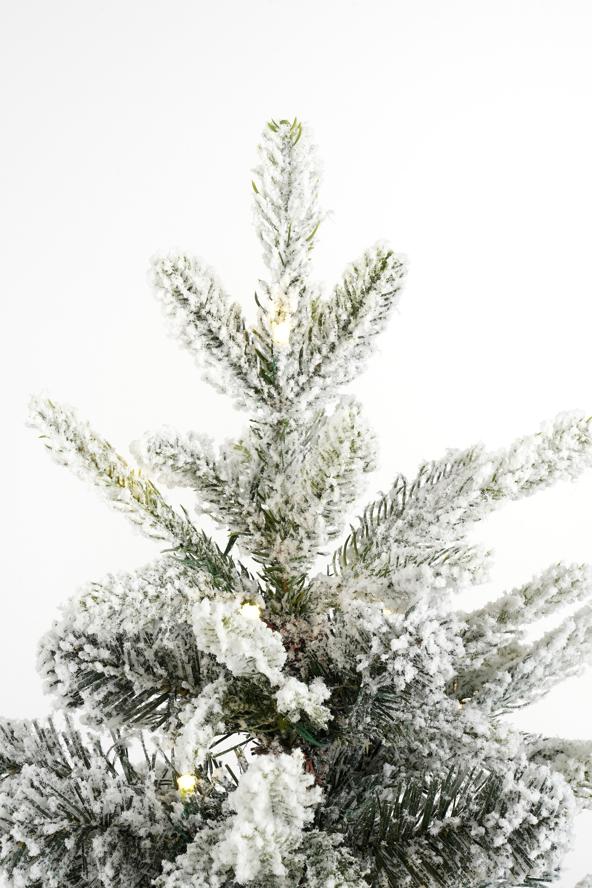 Gros plan d'un sapin de Noël givré sur fond blanc. Les aiguilles vertes sont recouvertes de givre blanc.