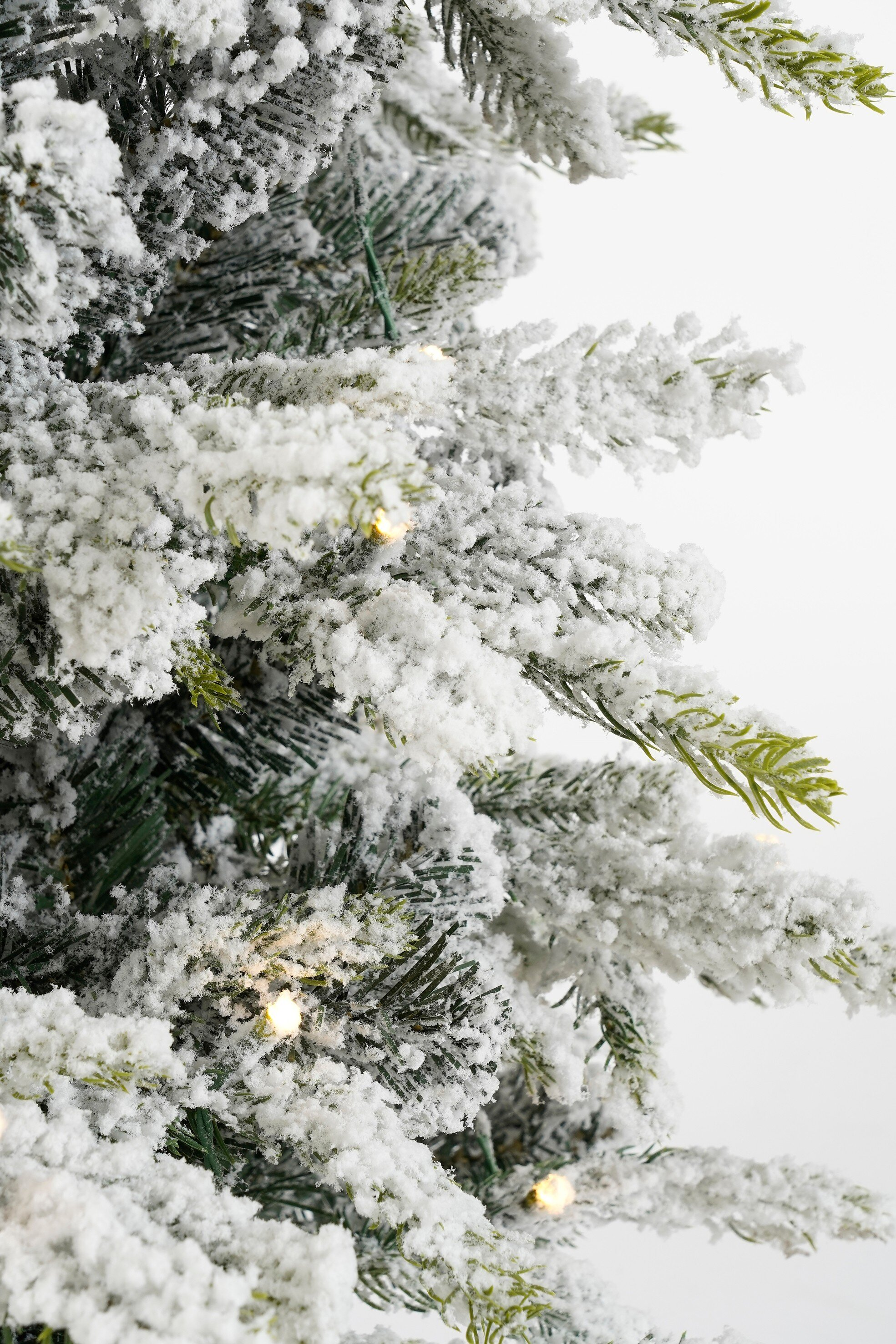Gros plan sur un sapin de Noël enneigé. Les aiguilles vertes sont recouvertes de neige blanche. Petites lumières visibles.