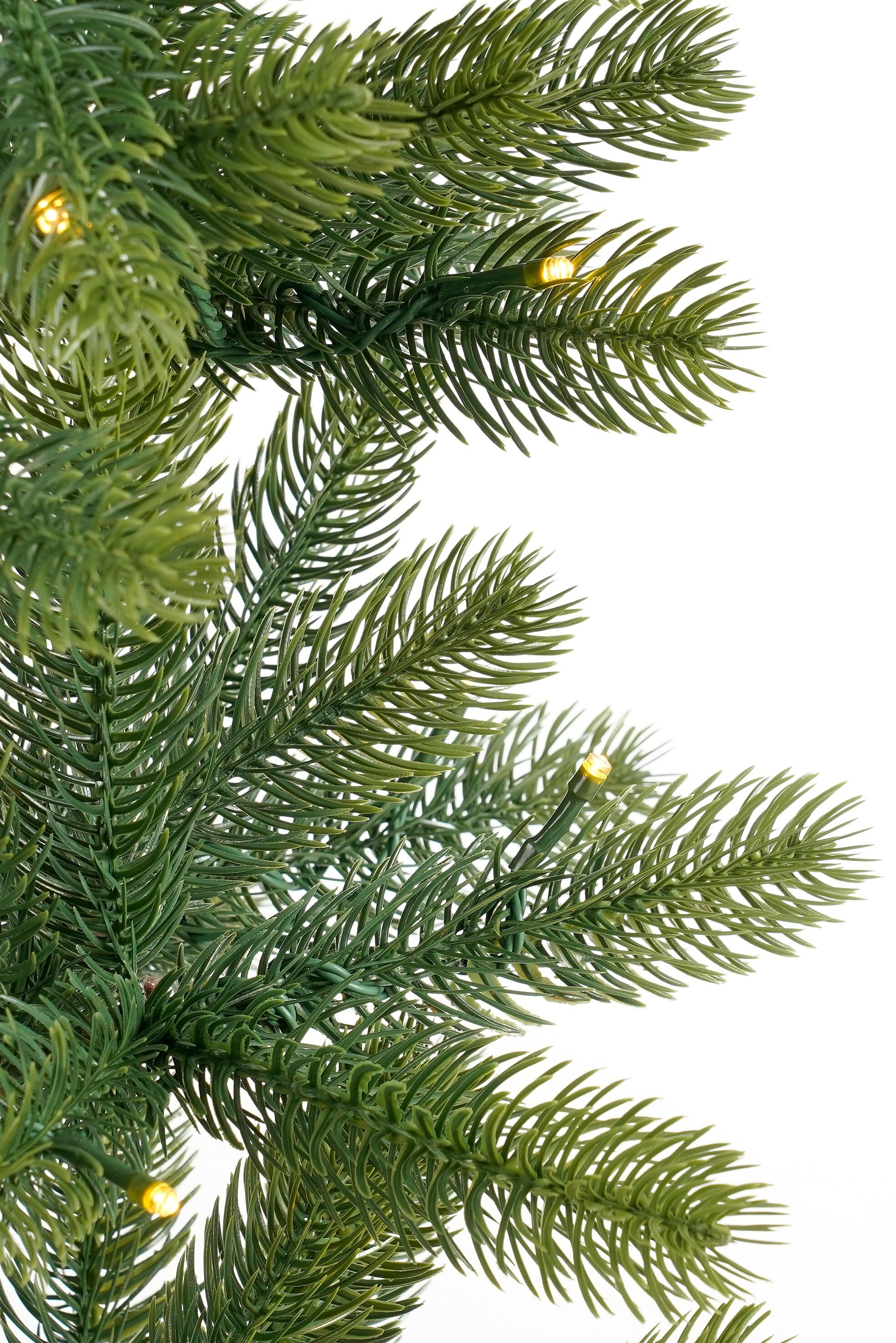 Gros plan d'une branche verte de sapin de Noël avec de minuscules lumières jaunes sur fond blanc.