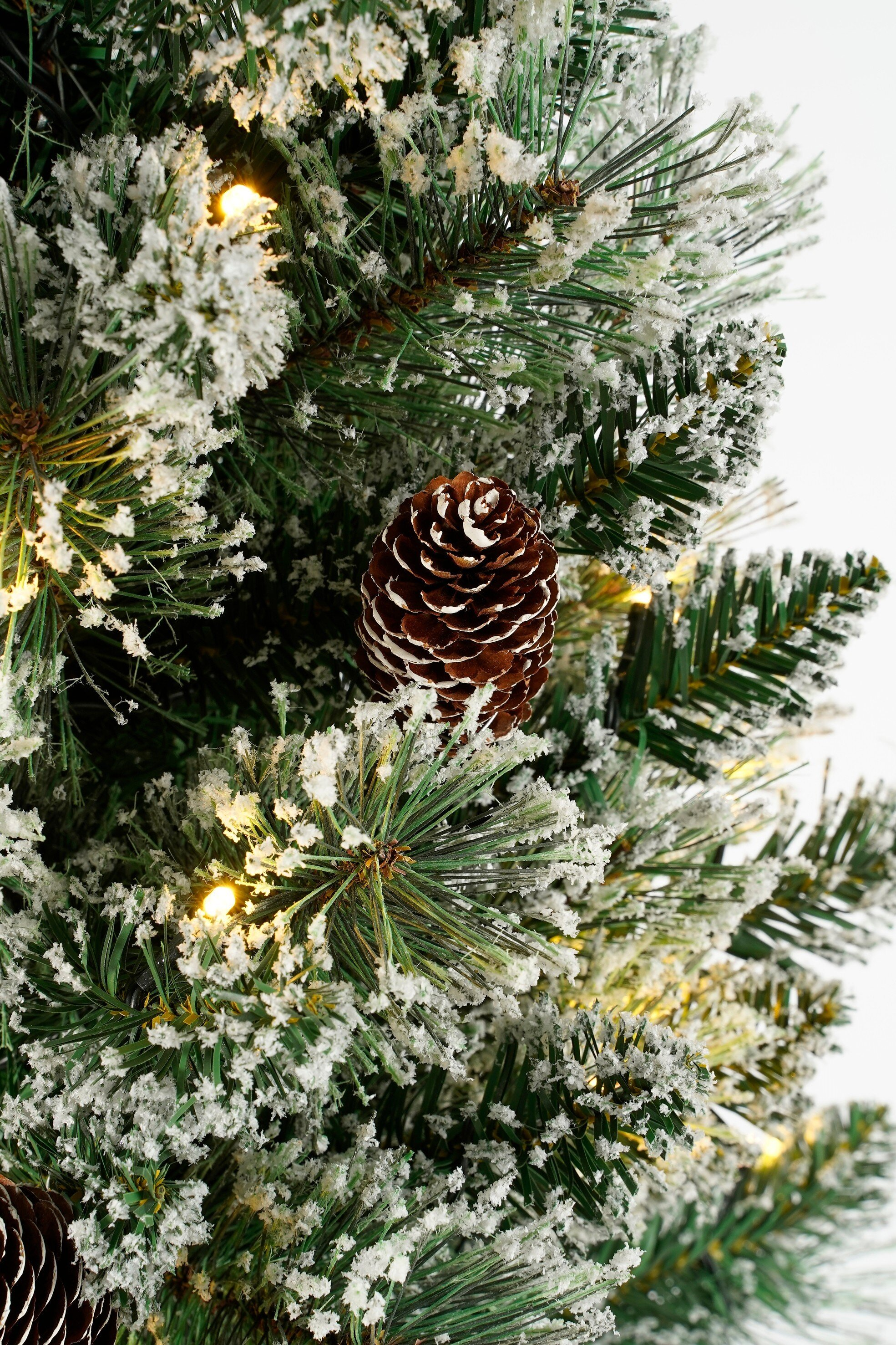 Gros plan d'une branche de sapin de Noël avec une pomme de pin. La branche est couverte de neige et a de petites lumières.