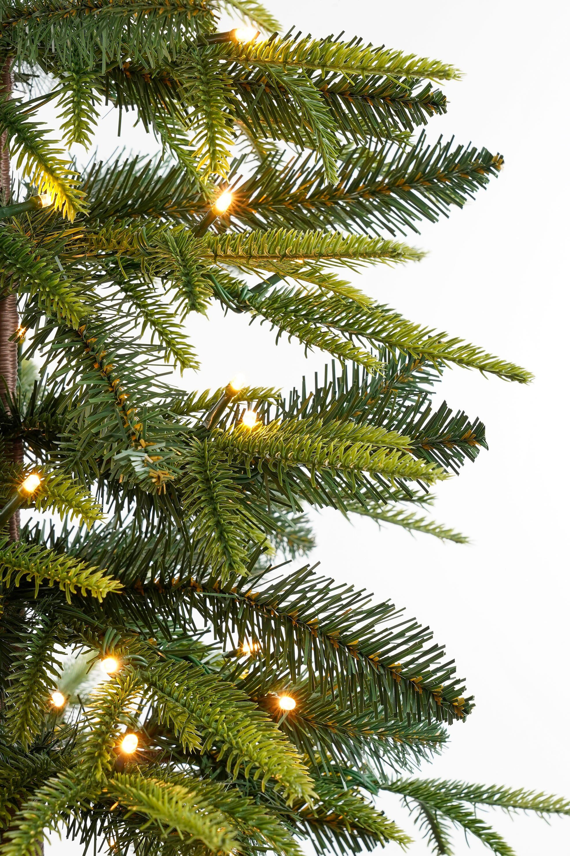 Gros plan sur un sapin de Noël avec des aiguilles vertes et de petites lumières jaunes. Fond blanc.