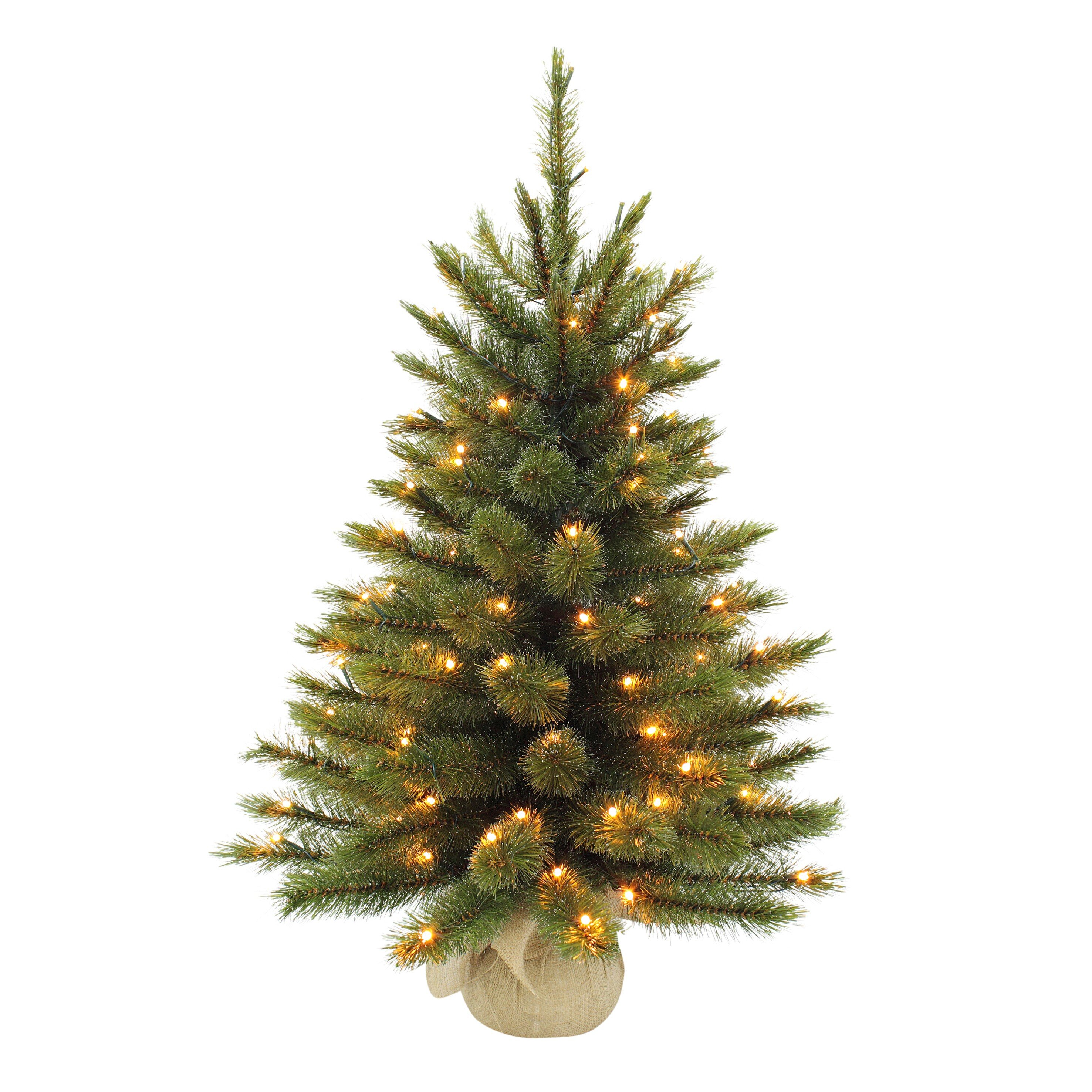 Un petit sapin de Noël avec des lumières est placé devant un fond blanc. L'arbre est vert avec des lumières jaunes.