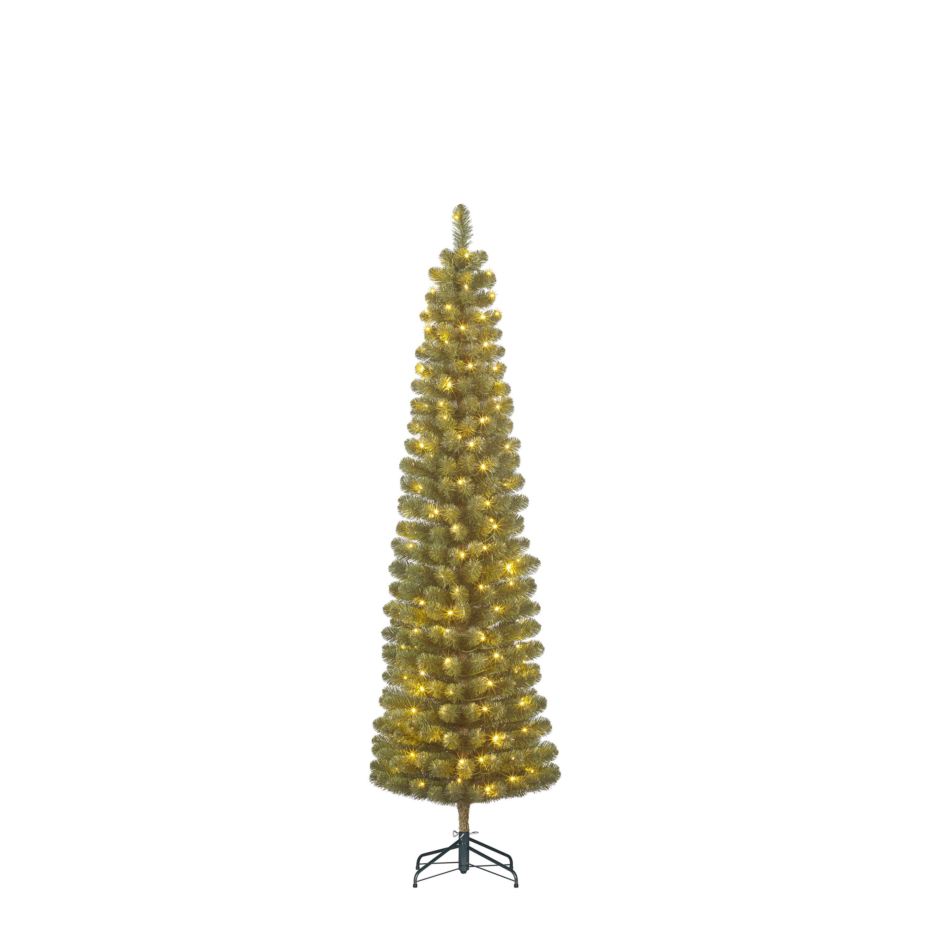 Un grand sapin de Noël mince avec des lumières est centré sur fond blanc.