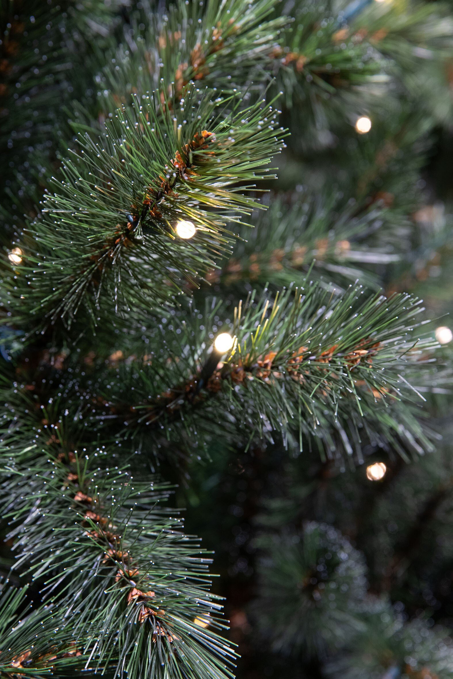 Gros plan sur un sapin de Noël vert avec de petites lumières blanches et des aiguilles givrées, illuminé, créant une scène festive.