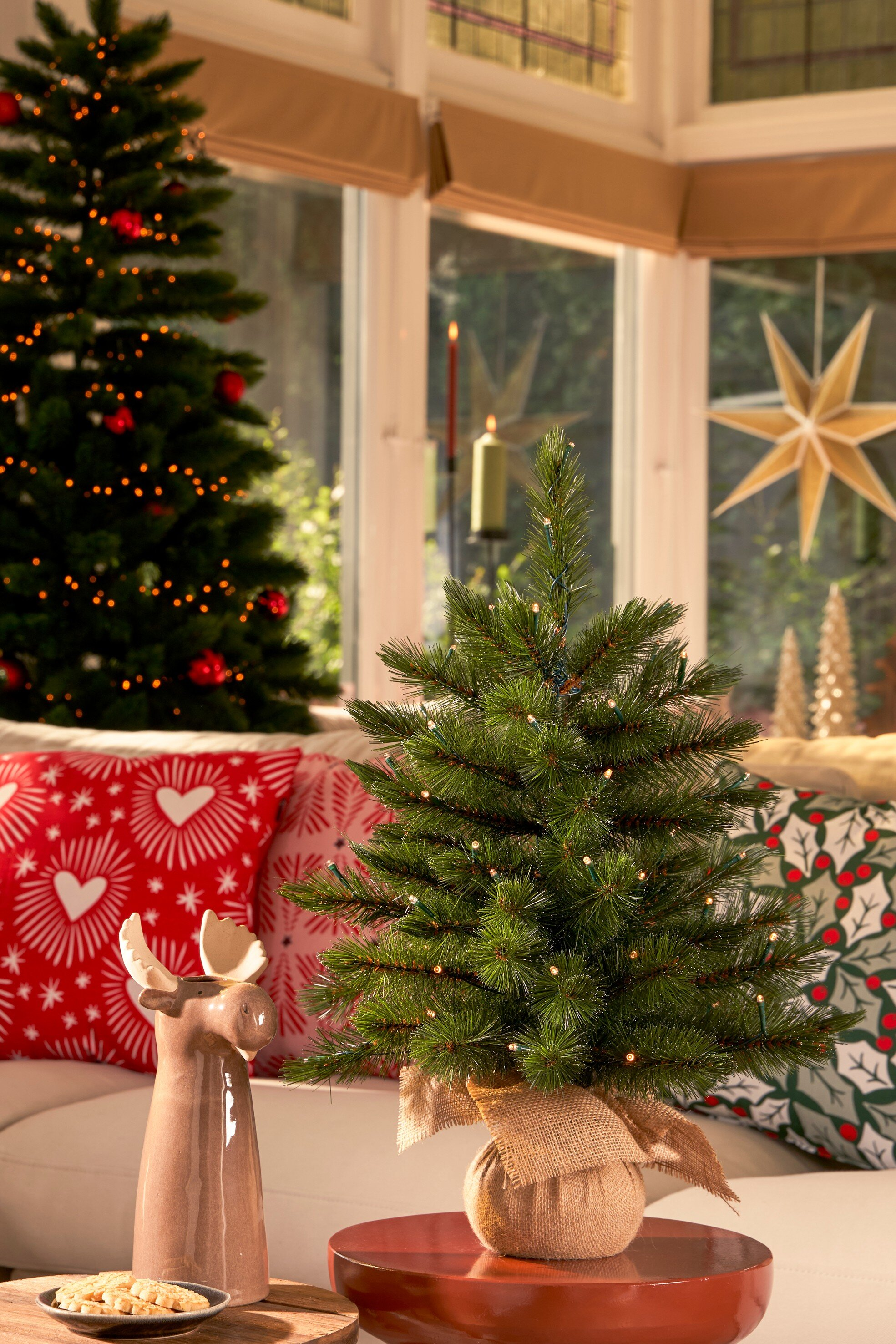Une scène festive avec un petit sapin de Noël sur une table rouge, avec un grand sapin en arrière-plan.