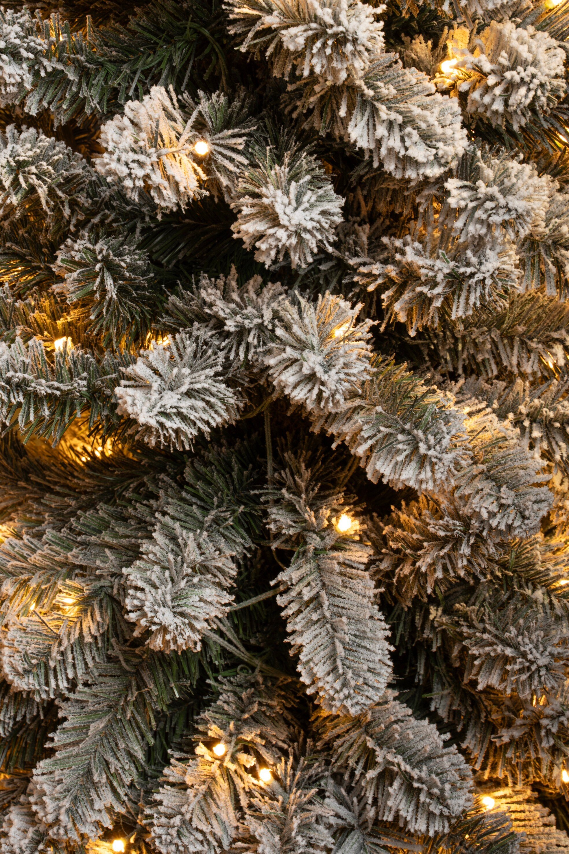 Gros plan sur un sapin de Noël givré avec des aiguilles vertes et des lumières blanc chaud.