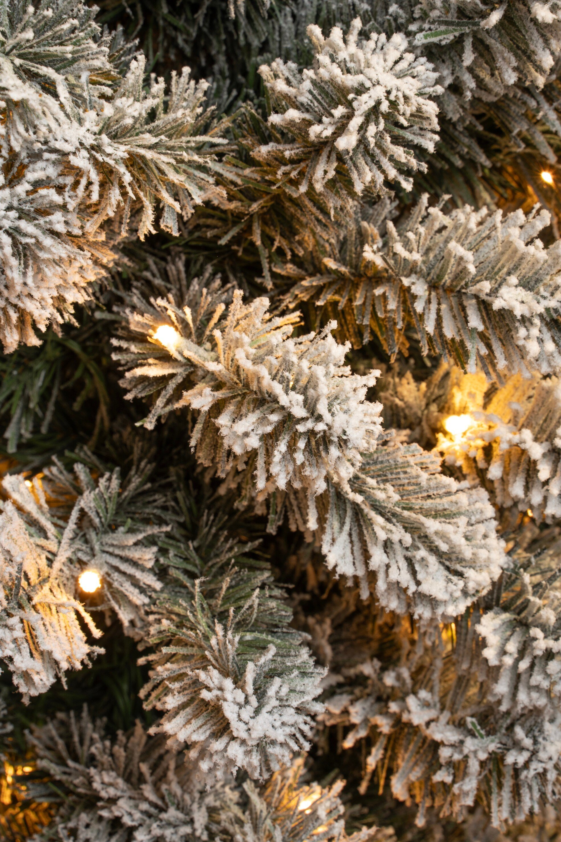 Gros plan d'un sapin de Noël givré avec des lumières chaudes. Les aiguilles vertes sont couvertes de givre blanc.