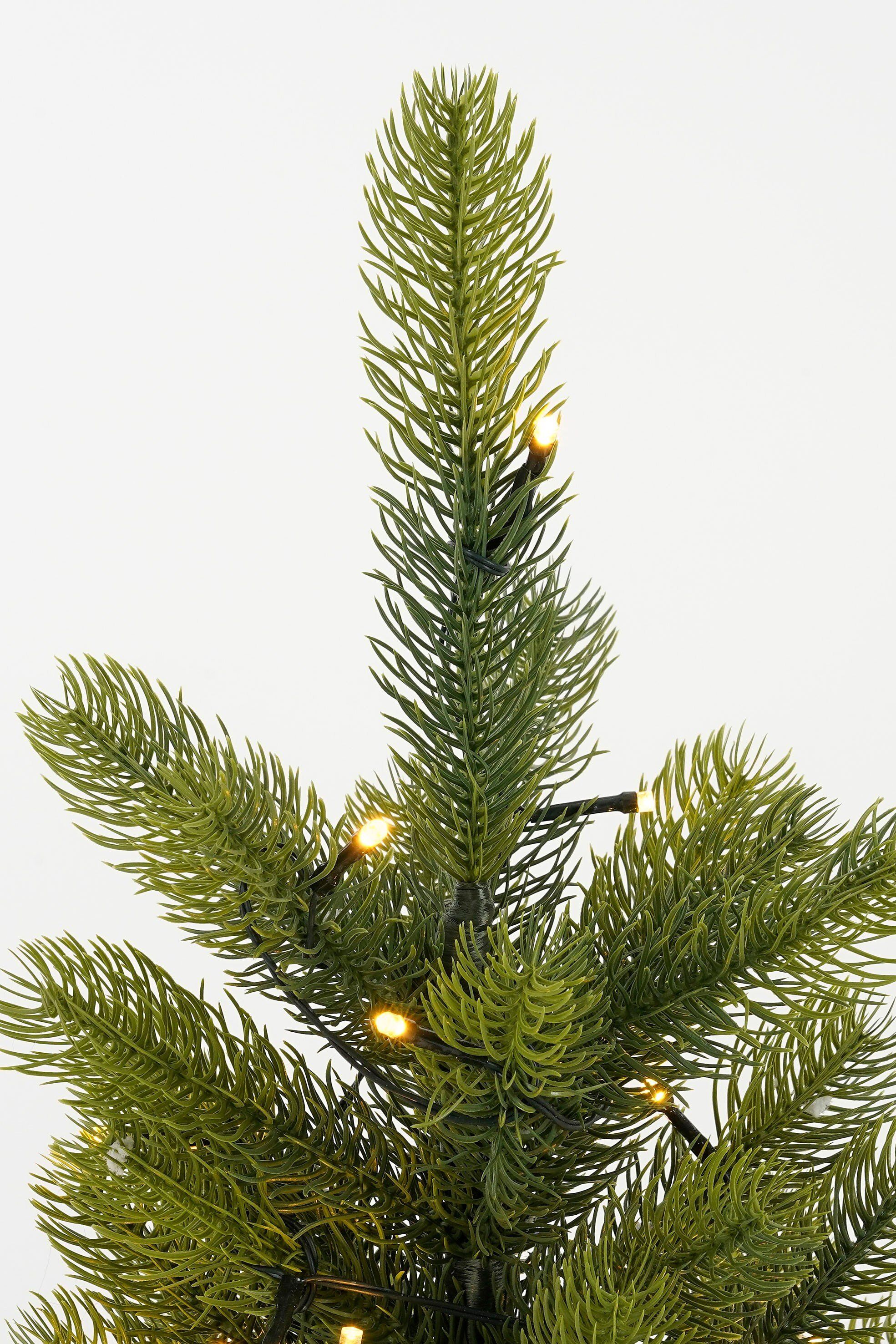 Gros plan sur un sapin de Noël vert. De petites lumières jaunes sont accrochées aux branches sur fond blanc.