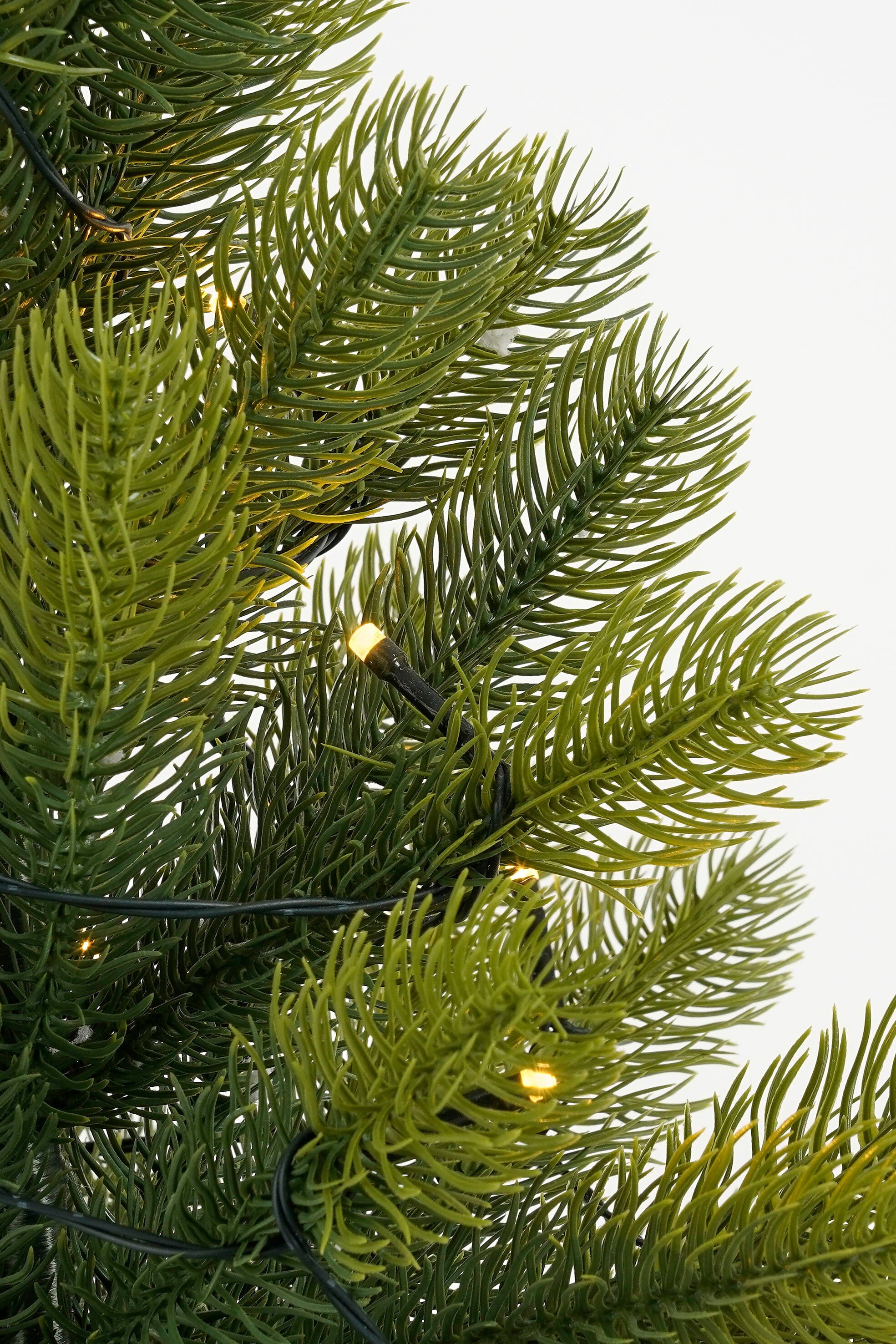 Gros plan d'un sapin de Noël avec des aiguilles vertes et de petites lumières. Le fond est blanc.