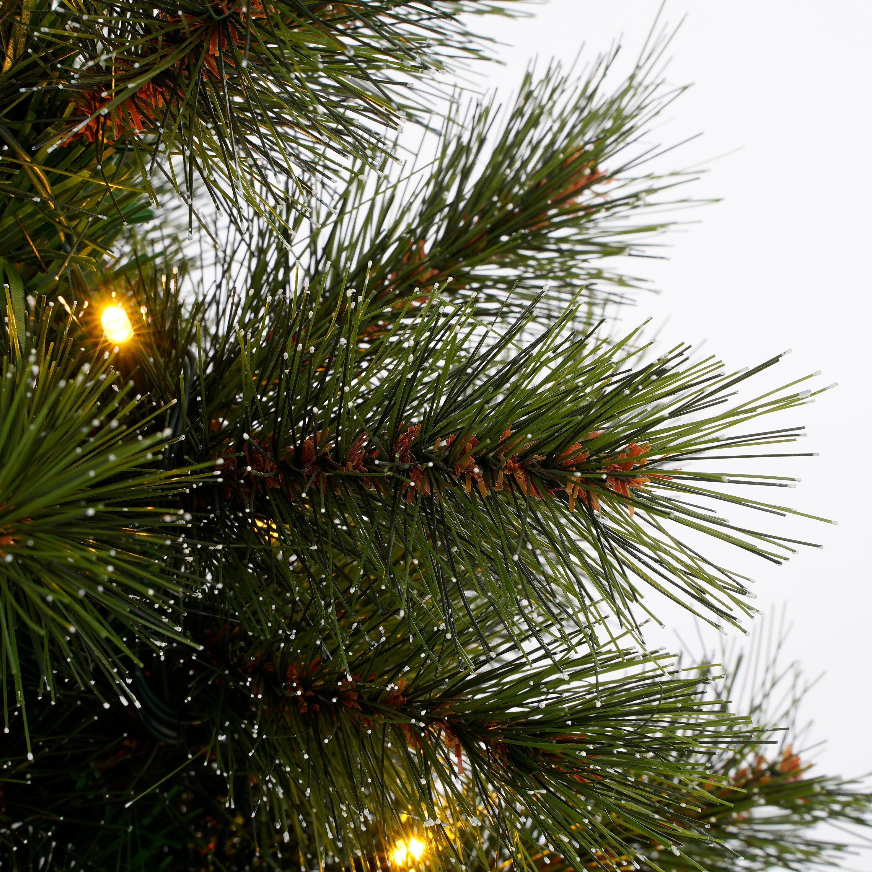 Gros plan d'une branche de sapin de Noël avec des aiguilles vertes, de petites lumières et des accents blancs sur fond blanc.