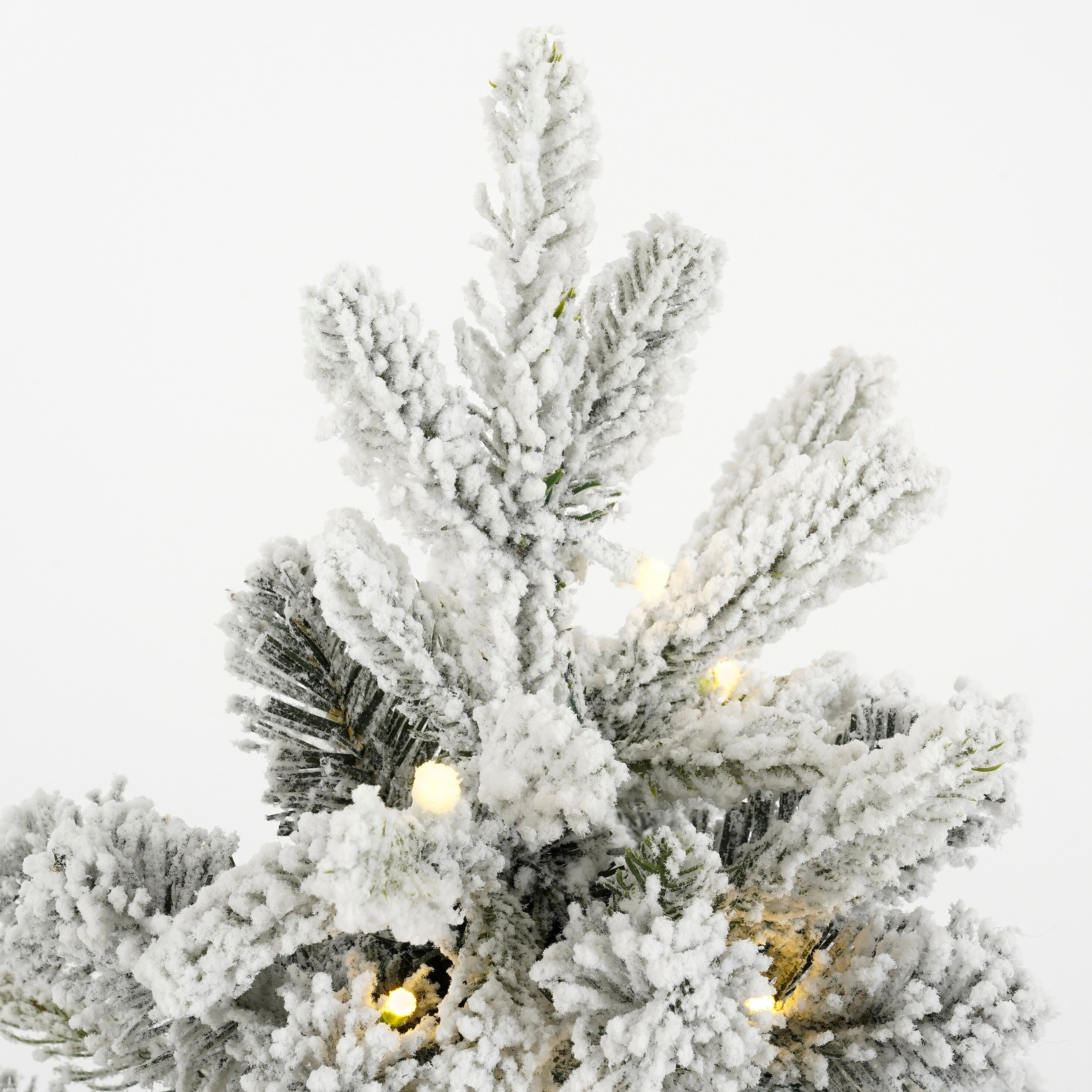 Gros plan d'un sapin de Noël enneigé avec des lumières chaudes sur fond blanc.
