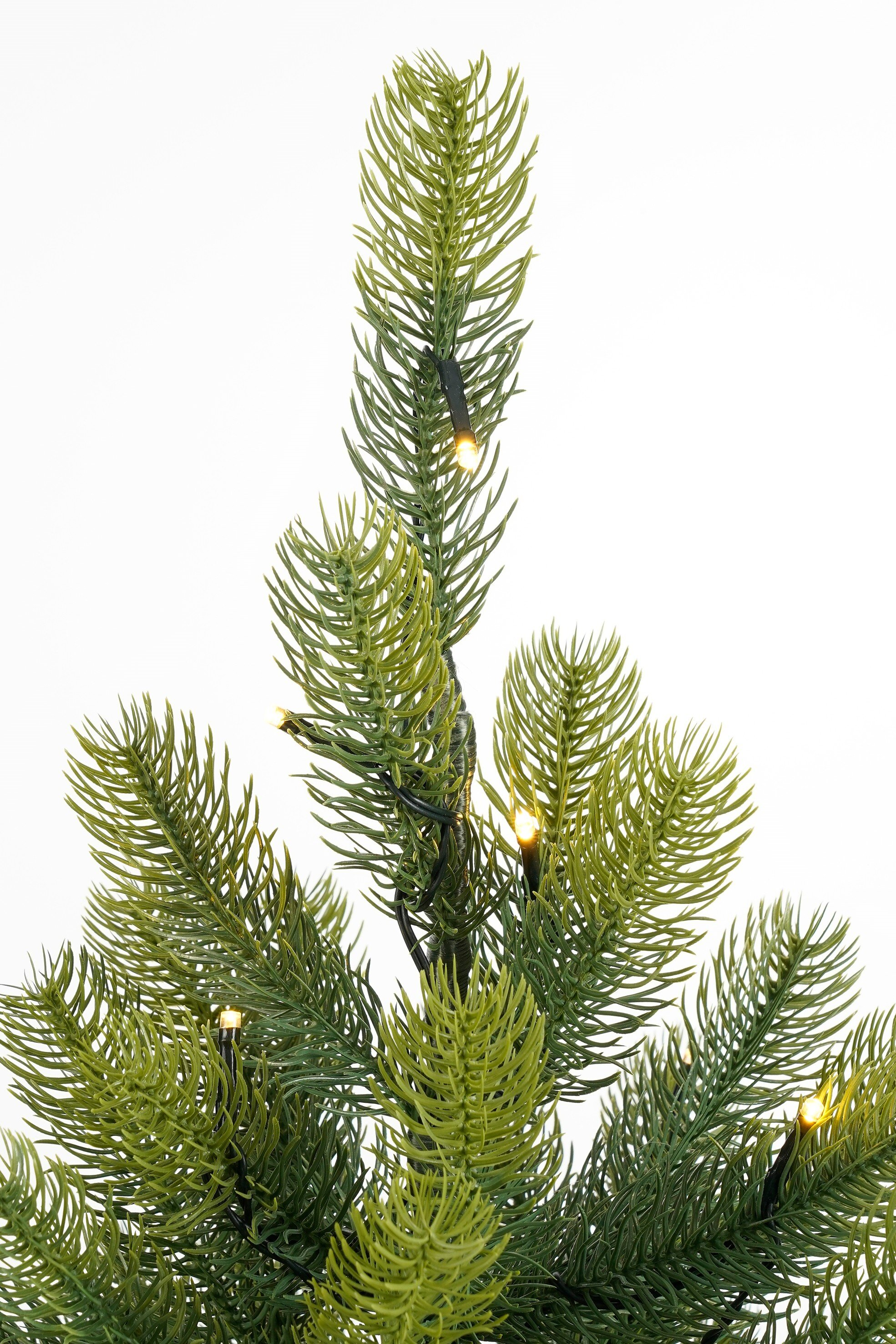 Gros plan sur un sapin de Noël vert avec de petites lumières jaunes. Le fond est blanc uni.